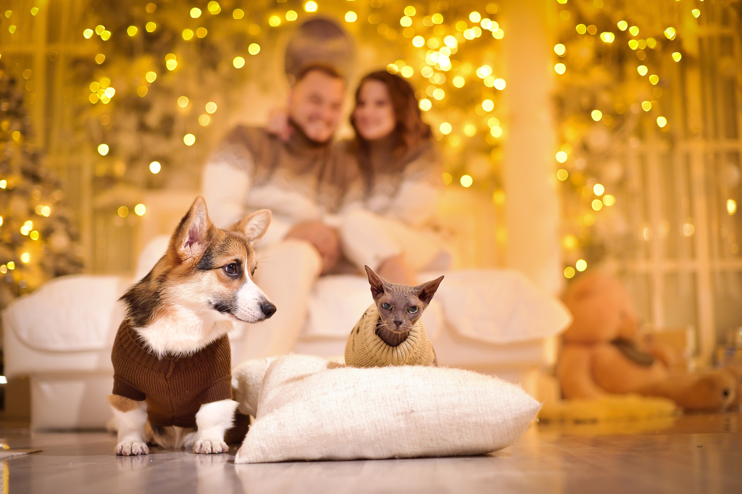 Студия. Фотостудия МАКС