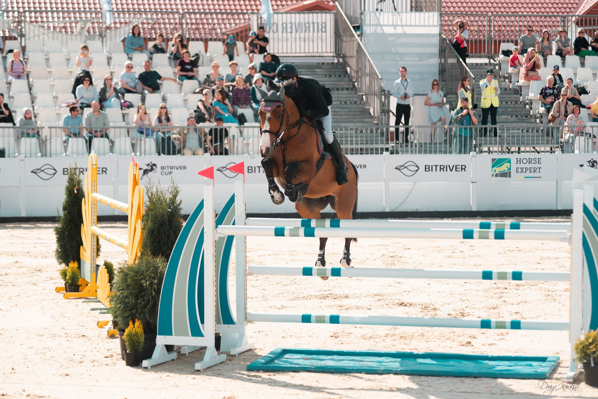 BITRIVER CUP 2023. Конный фотограф Куракина Дарья • Фотосессии с лошадьми