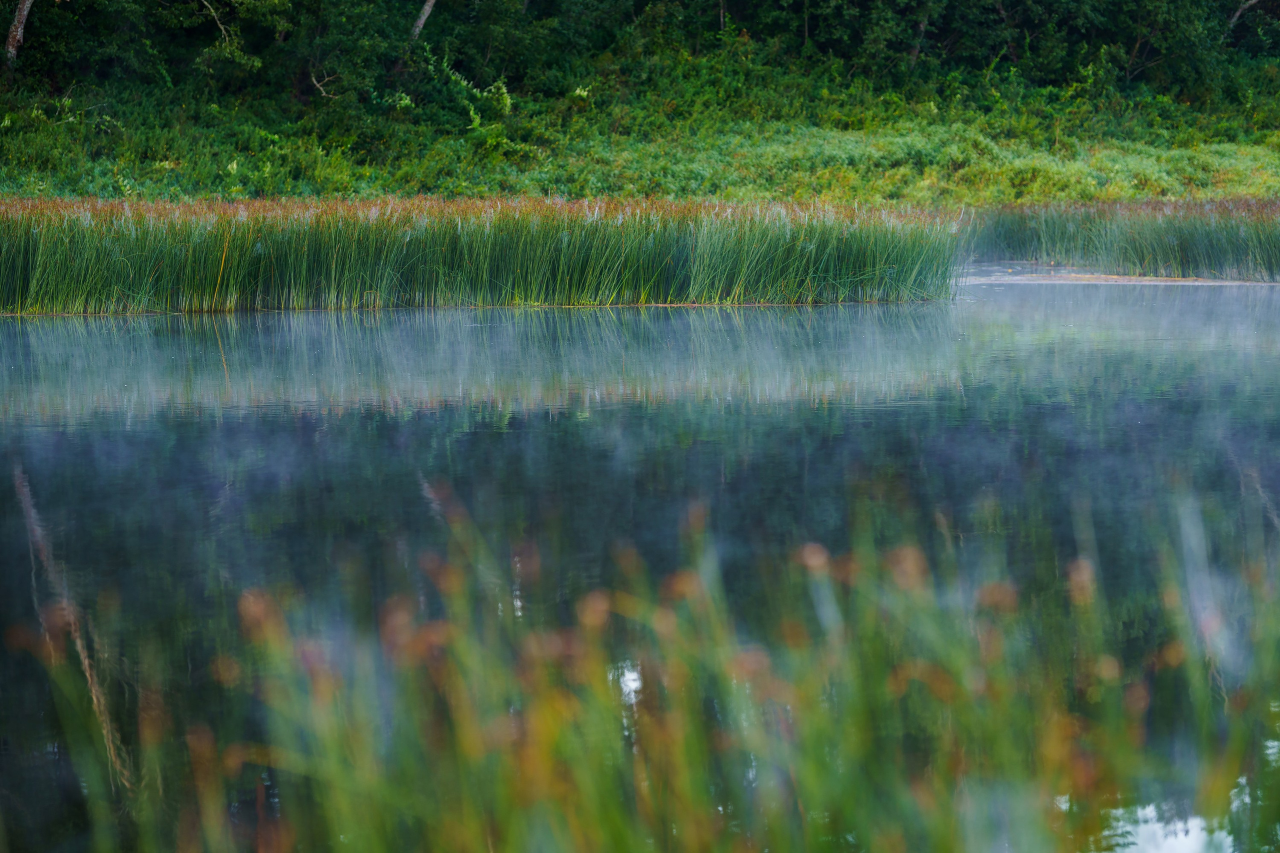 Фотографии Национальный парк Угра. Фотограф спортивные события, недвижимость, турбизнес