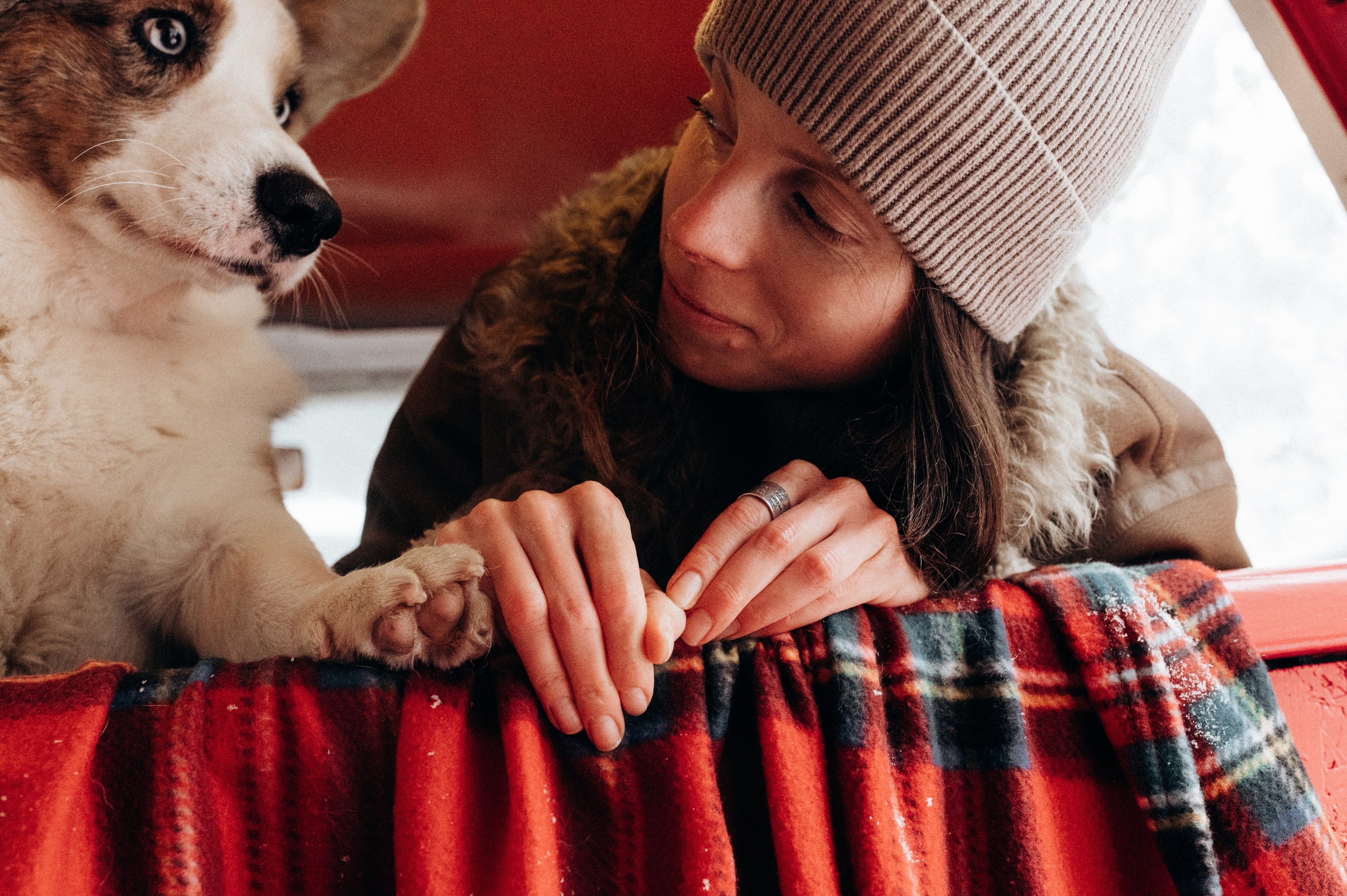 Маша и Дэф. Фотограф анималист в Москве Ольга Агушева