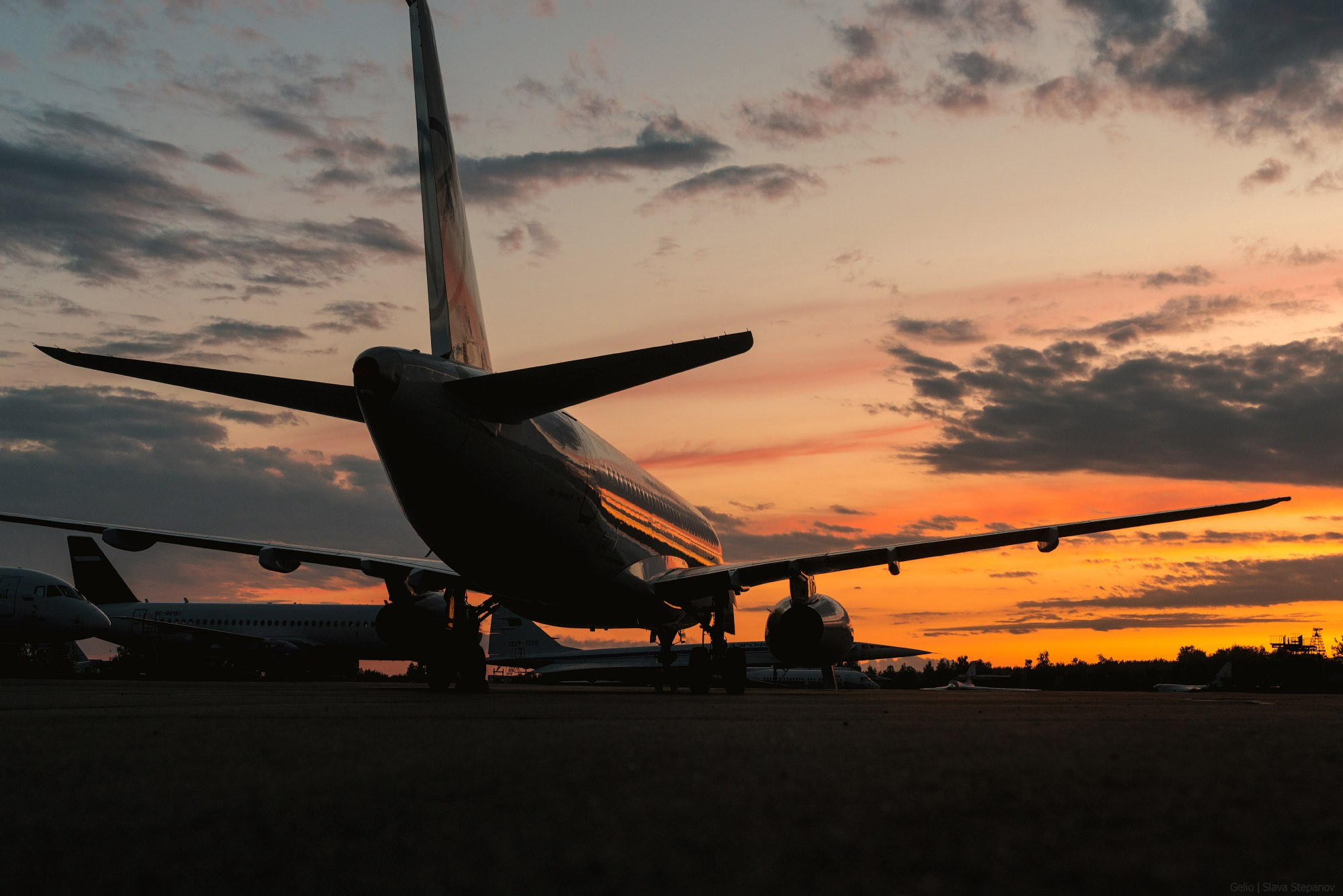 Аваиция. Фотограф Слава Степанов, Gelio