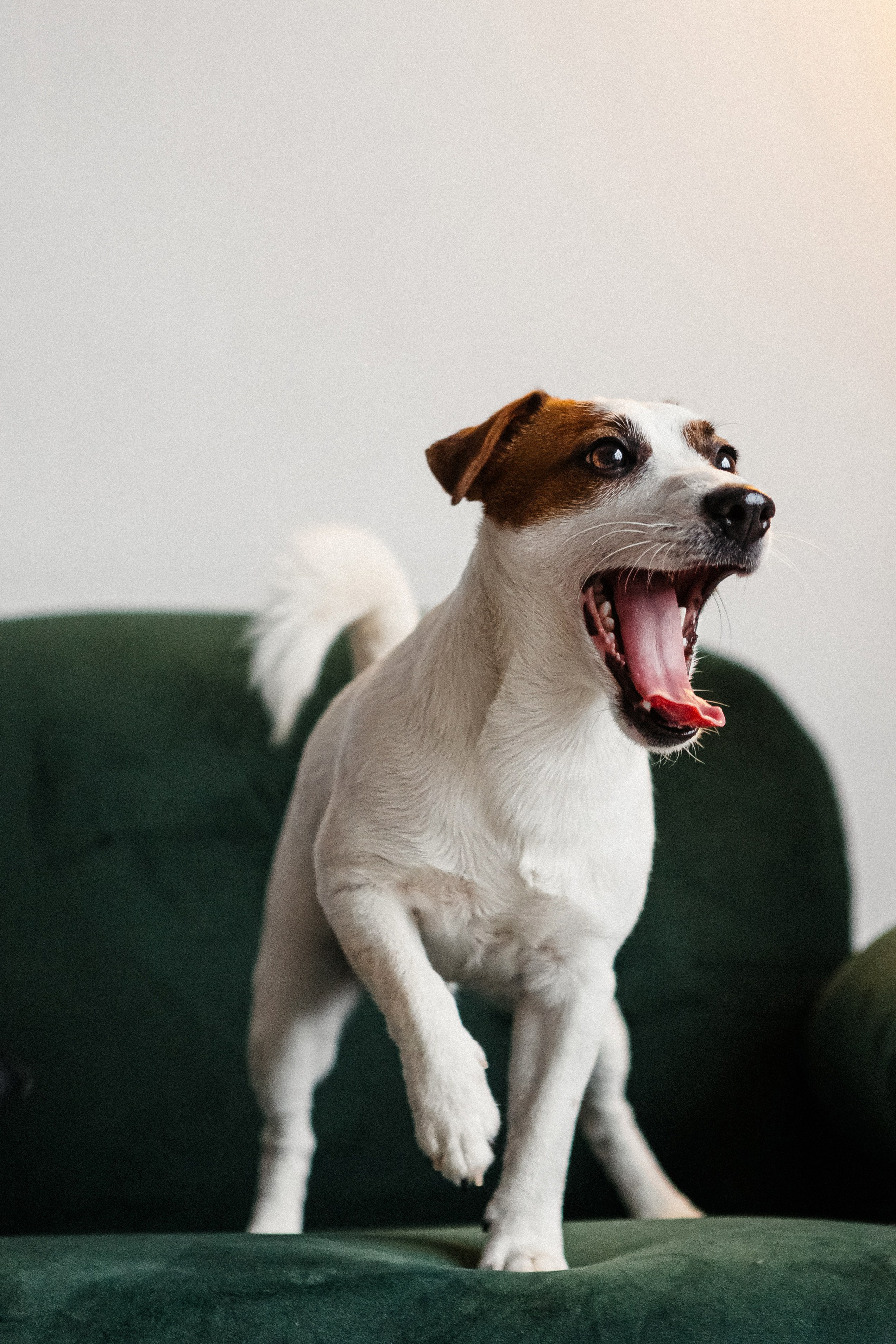 2024.03.24 Танюша, Руслан и Боба. Ирина Бешляга. Фотограф в Москве и по всей России