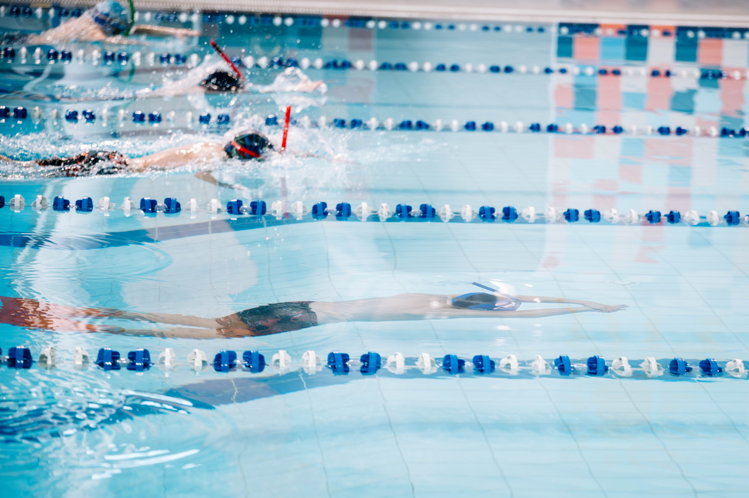Первый этап кубка плавания, Дельфин. Октябрь, 2024. Спортивный фотограф в Туле и Тульской области. Файсханова Фото Спорт