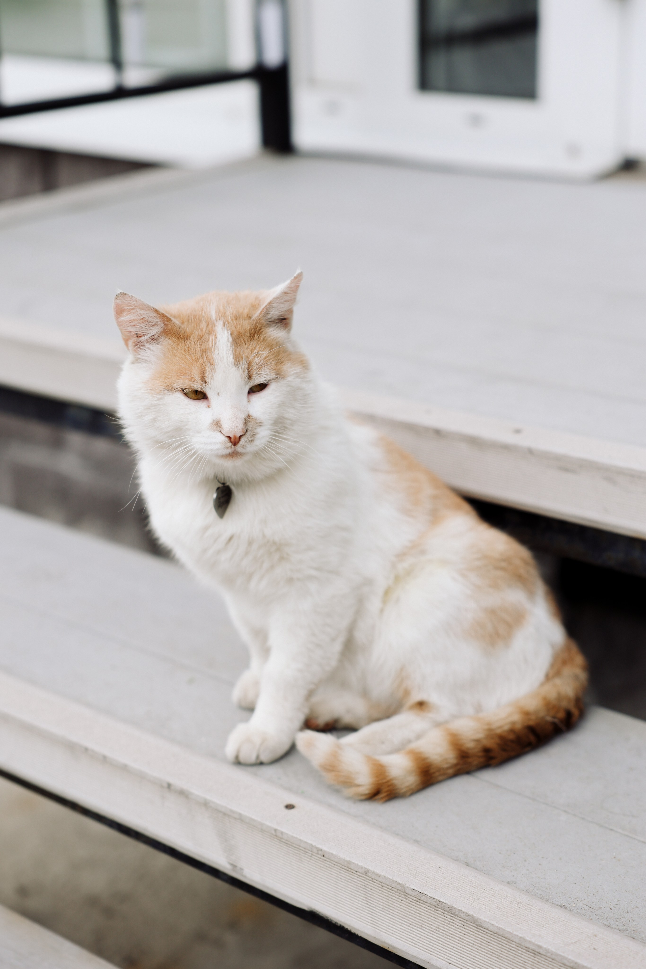 Savoi-Panorama. Главная