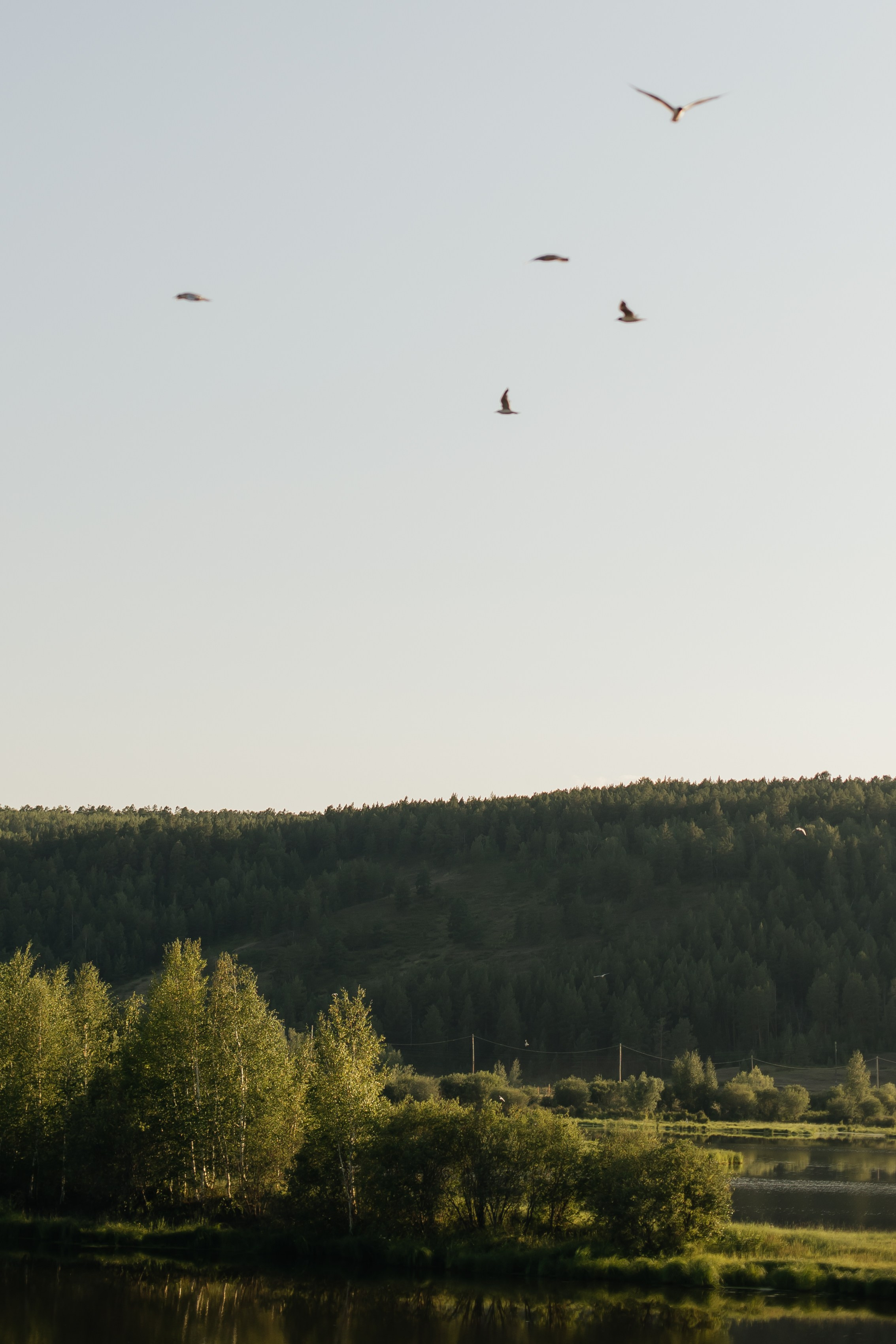 «Теплое воспоминание». Свадебный и семейный фотограф в Якутске — Дьулусхан Прокопьев