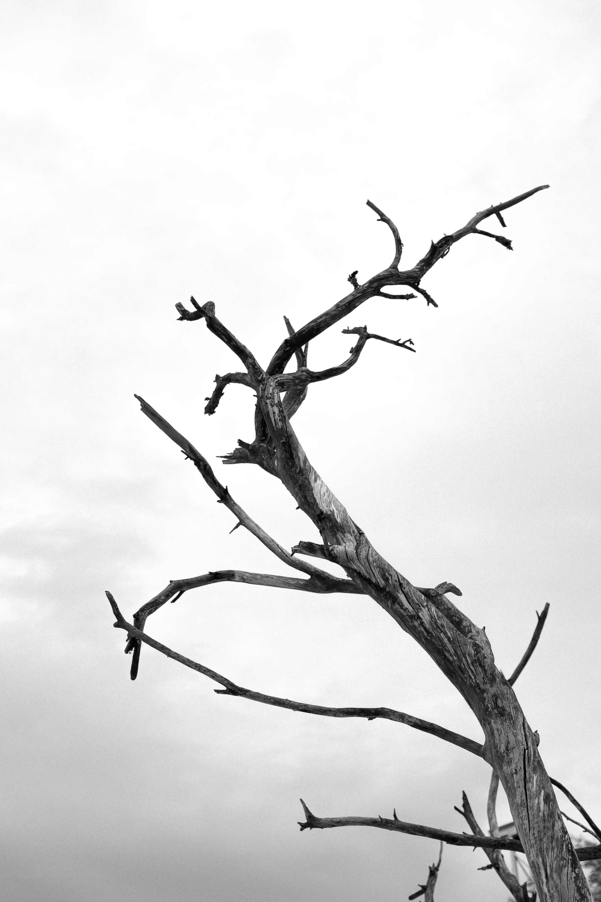 Masha+Vitalya 19/05/25. Семейный и портретный фотограф в Саратове Сахарова Маша