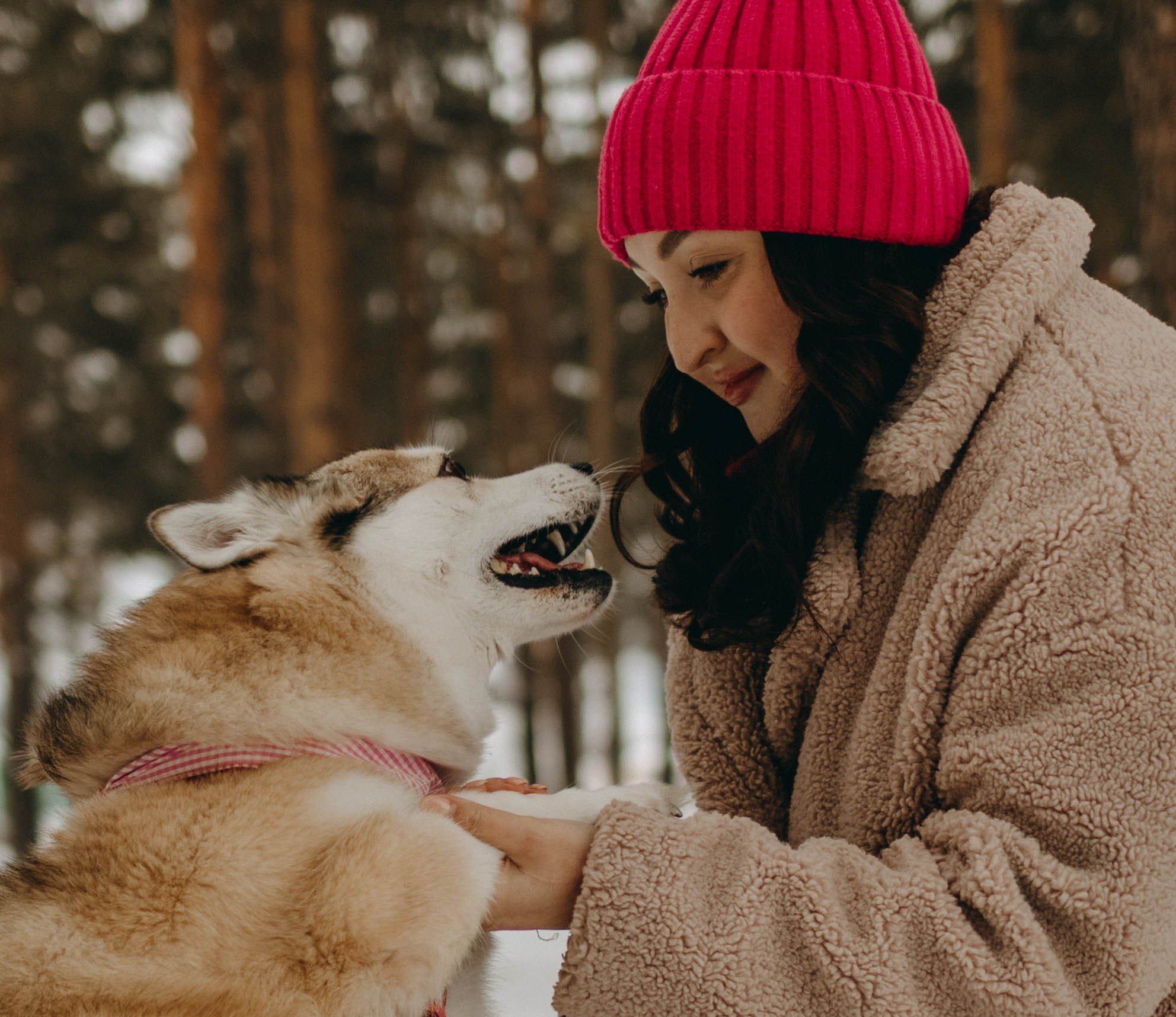 Варвара и Шелби. Фотограф-анималист в Екатеринбурге | Кристина