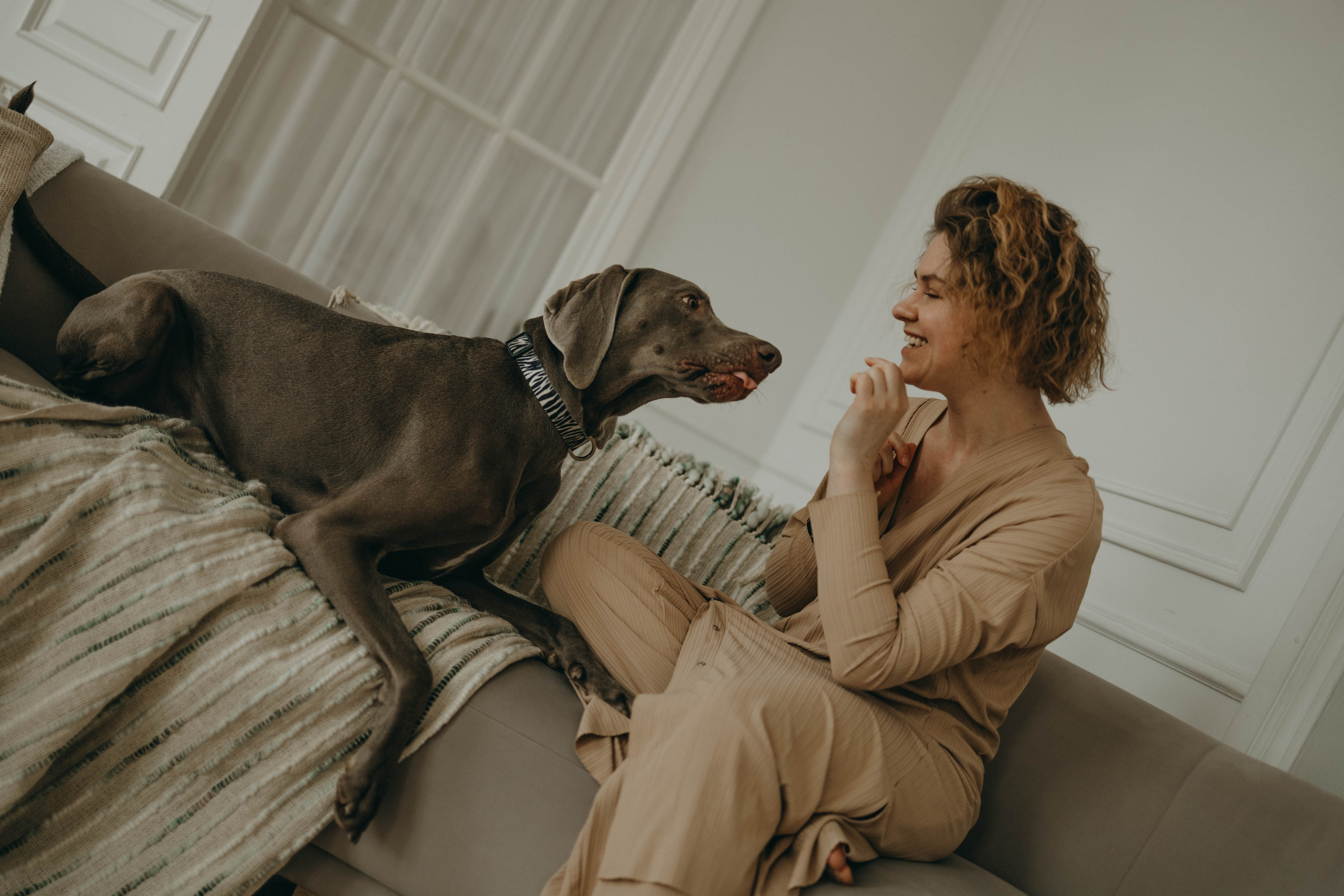 Фотосессия в студии с собакой. Фотограф-анималист в Екатеринбурге | Кристина