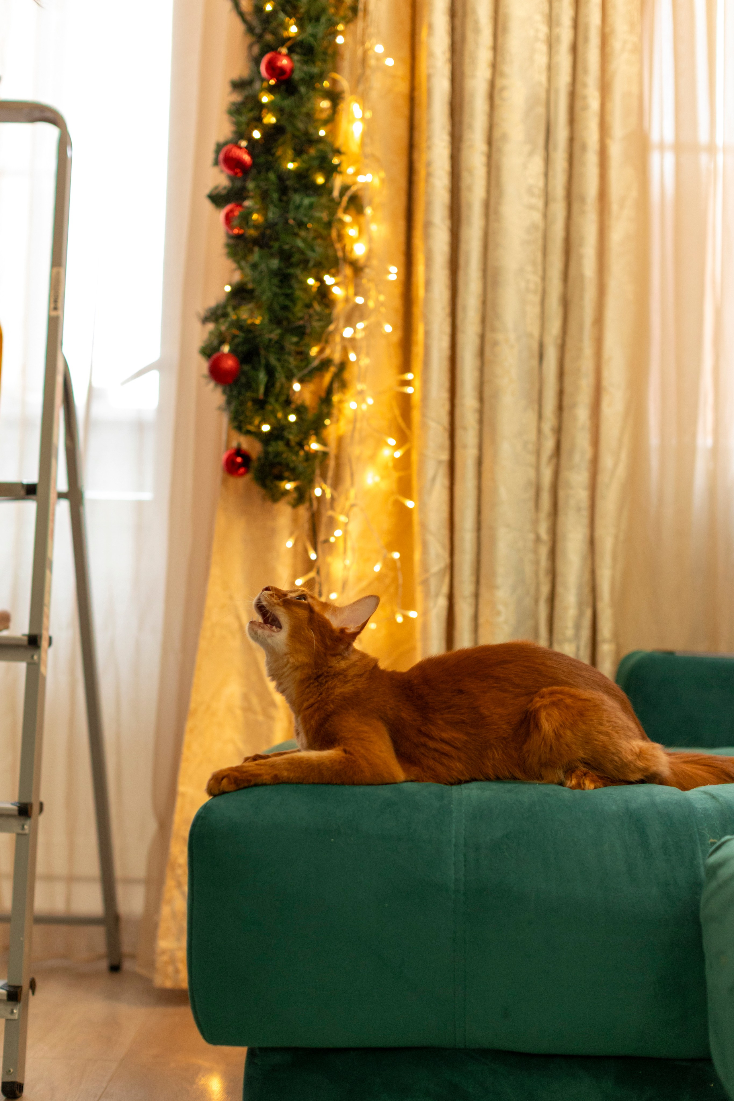 Сомали. Art my Pho