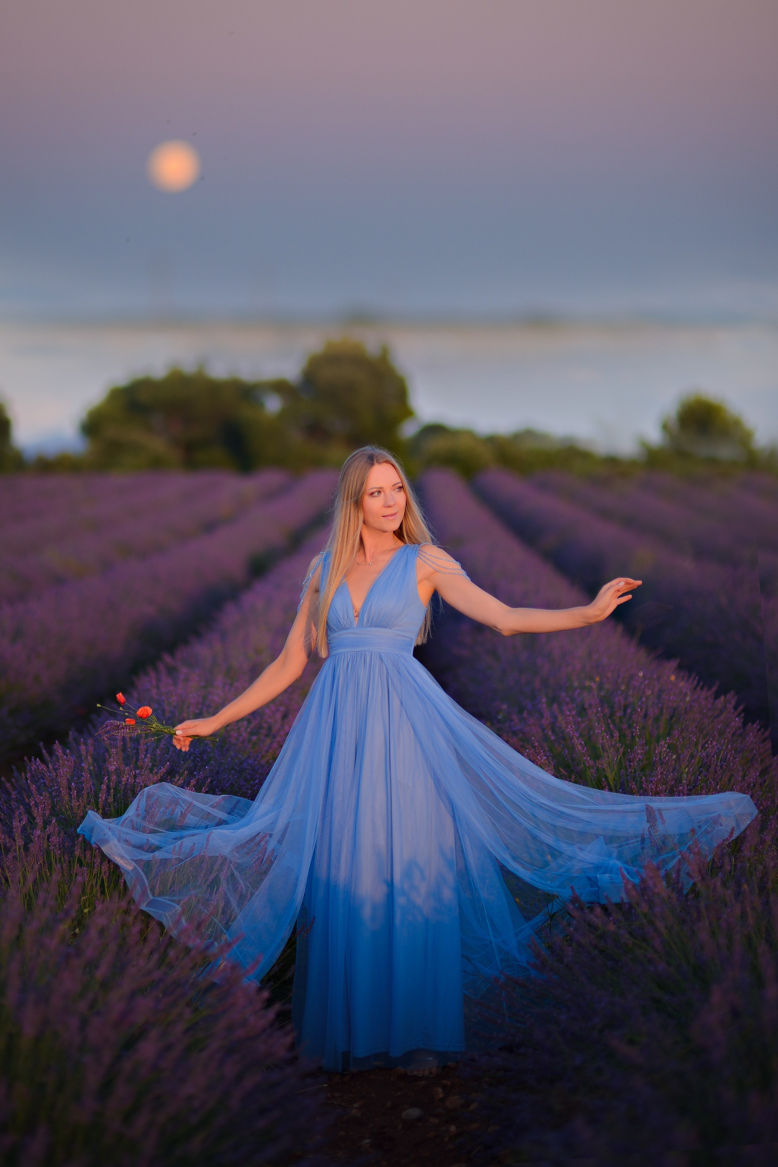 Lavender. Photographer in Provence Julia Lipiainen