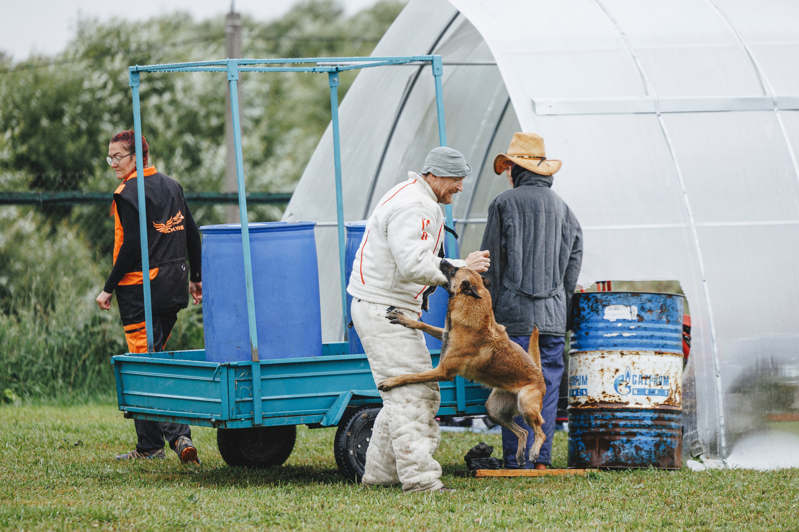 08.08.25-10.08.25 ЧР по мондьорингу г. Вологда. Фотограф-анималист Анна Маринич