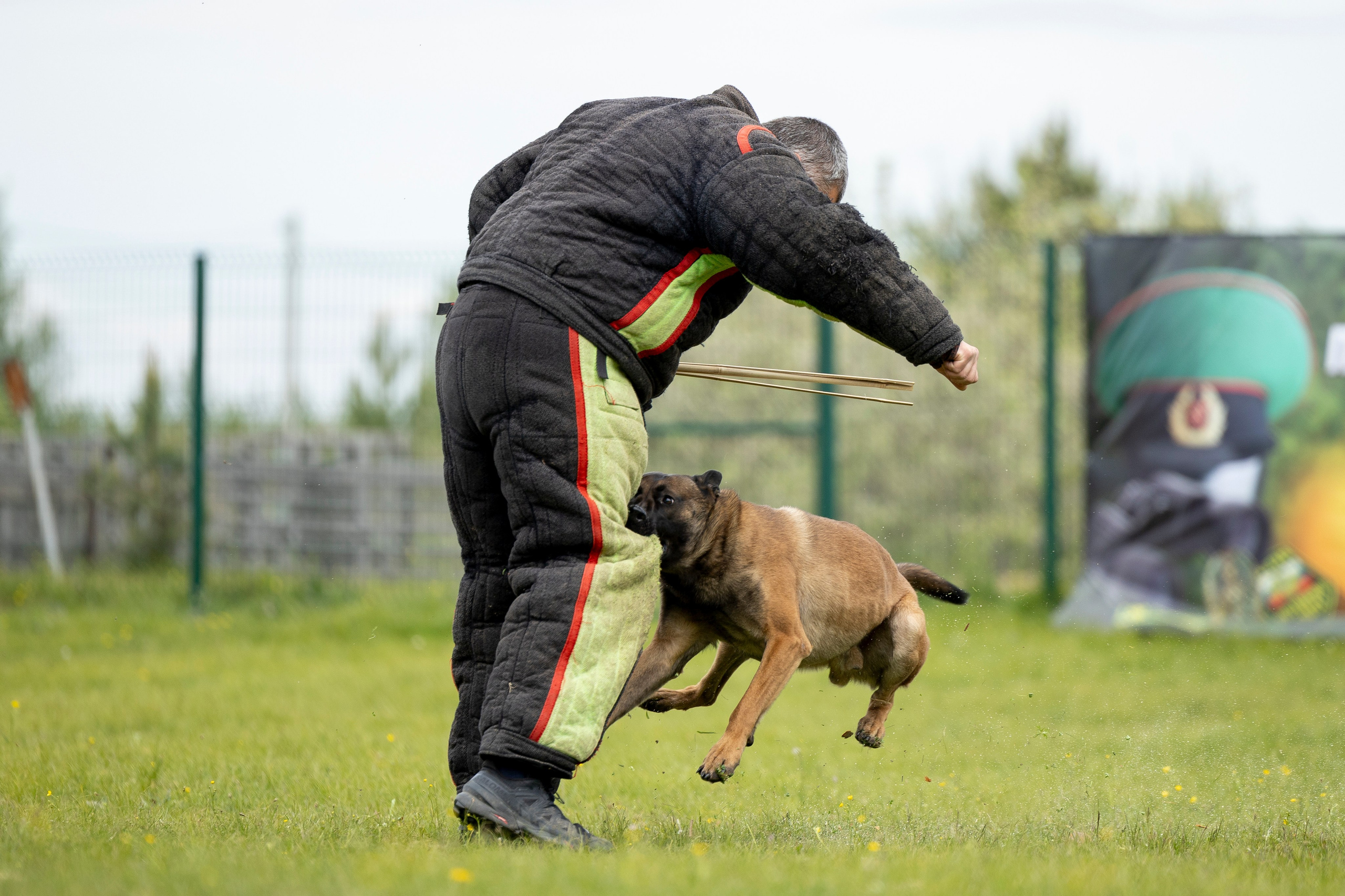 Испытания по мондьорингу в Нижнем Новгороде. Фотограф-анималист Анна Маринич
