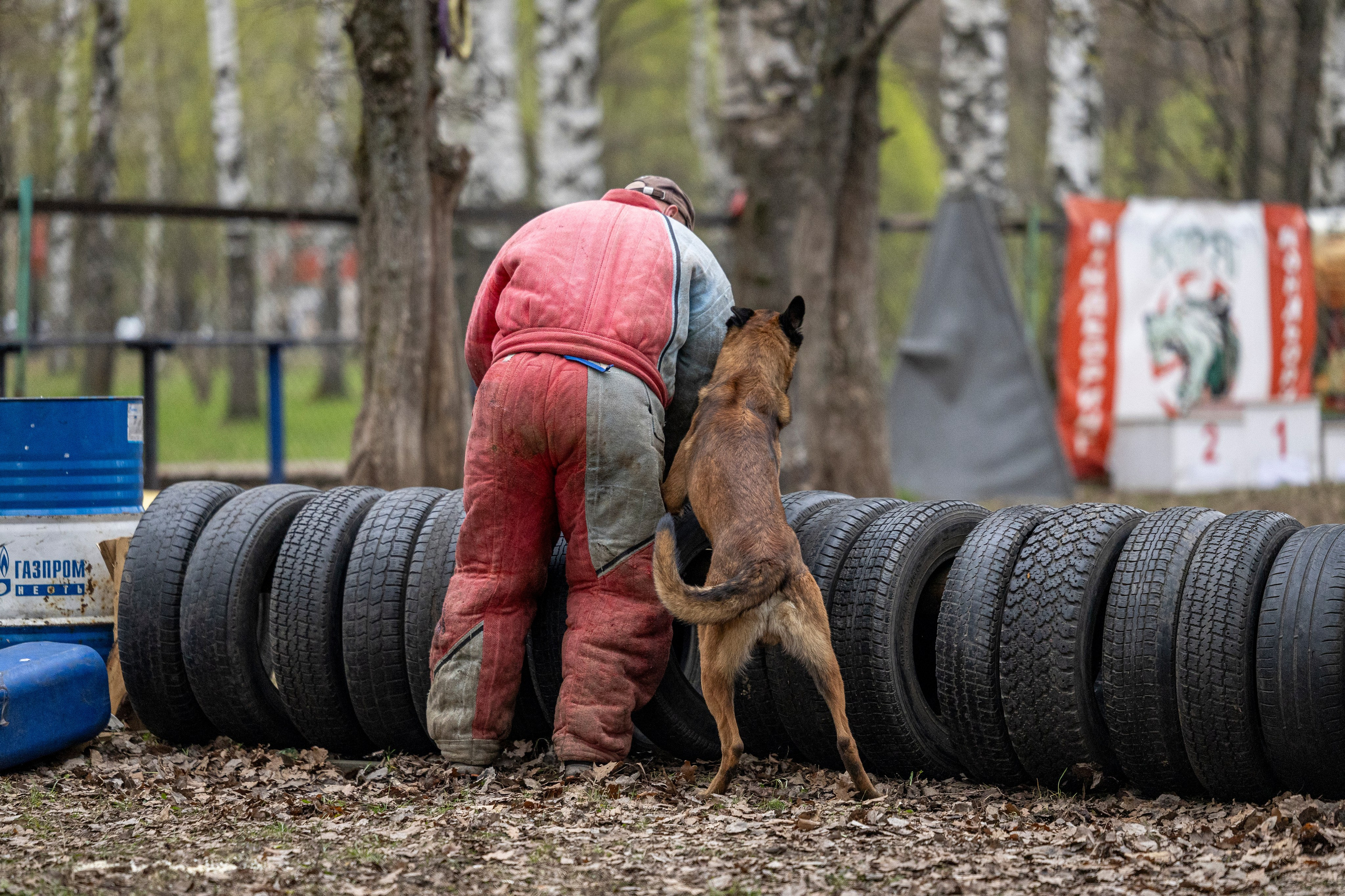 Квалификационные состязания по мондьорингу г. Вологда 11.05.24. Фотограф-анималист Анна Маринич