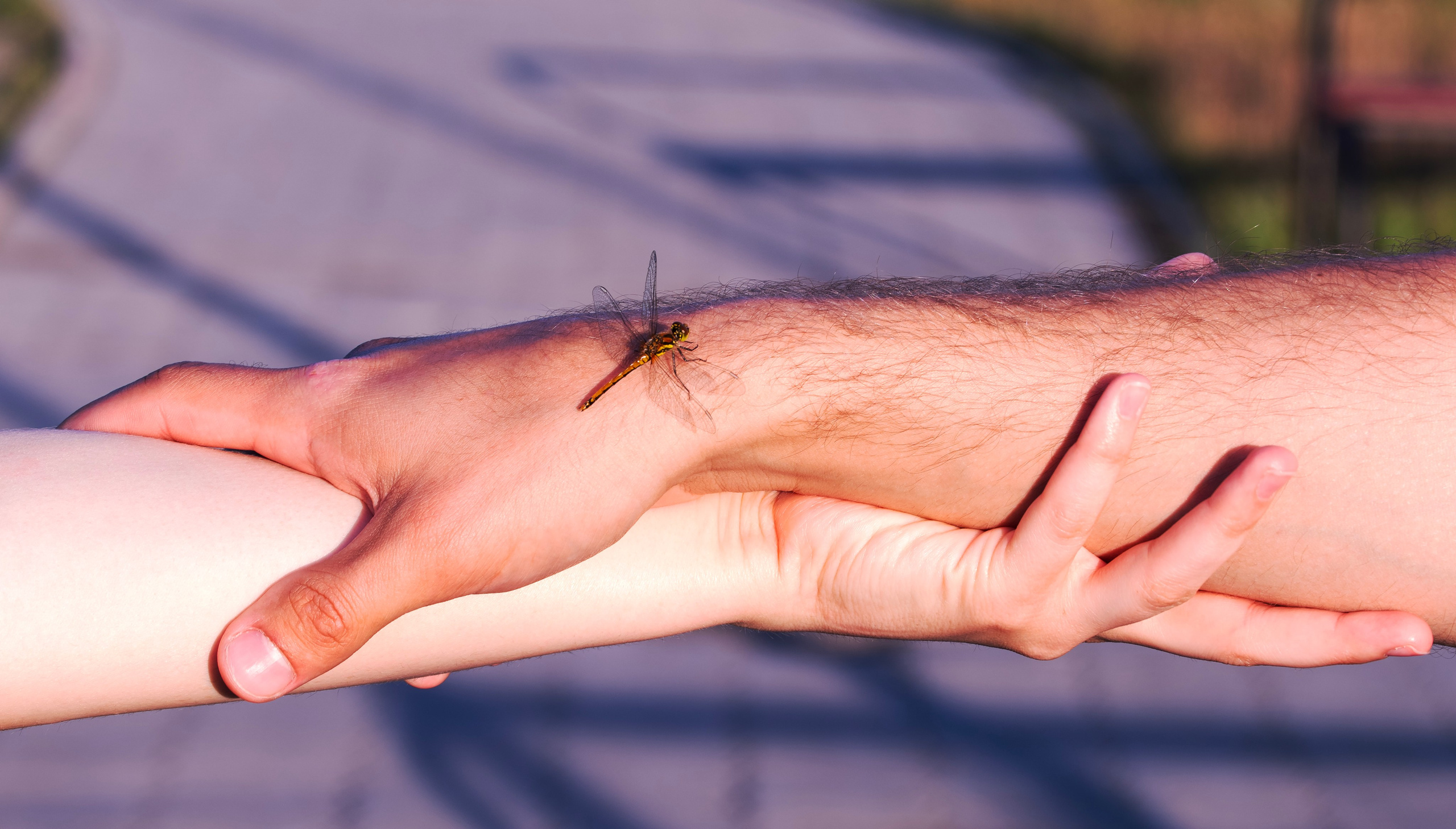 Дарина и Владимир. Репортажный и портретный фотограф Alex Dum