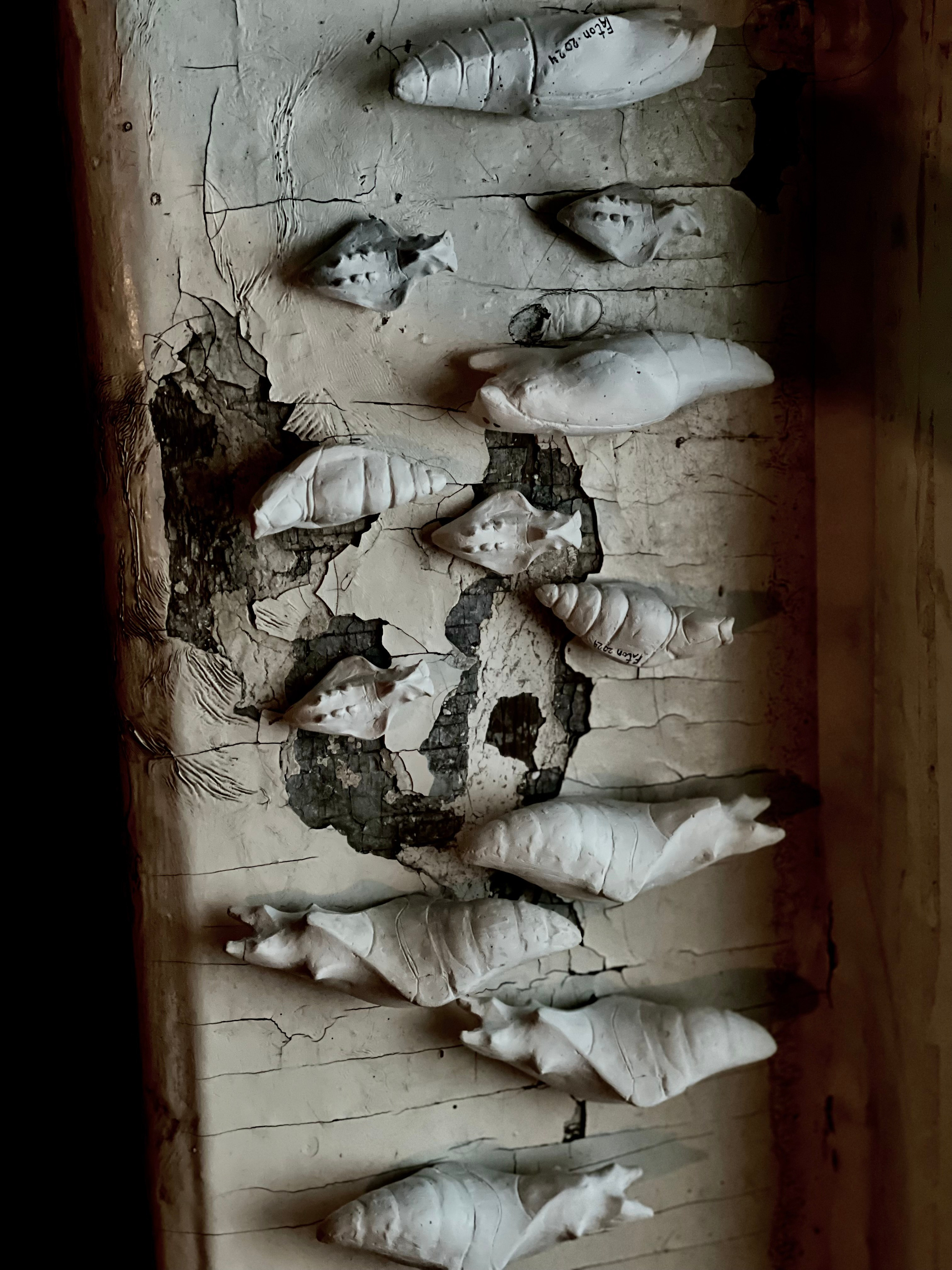 Chrysalis _2024. Художник — скульптор Антонина Фатхуллина