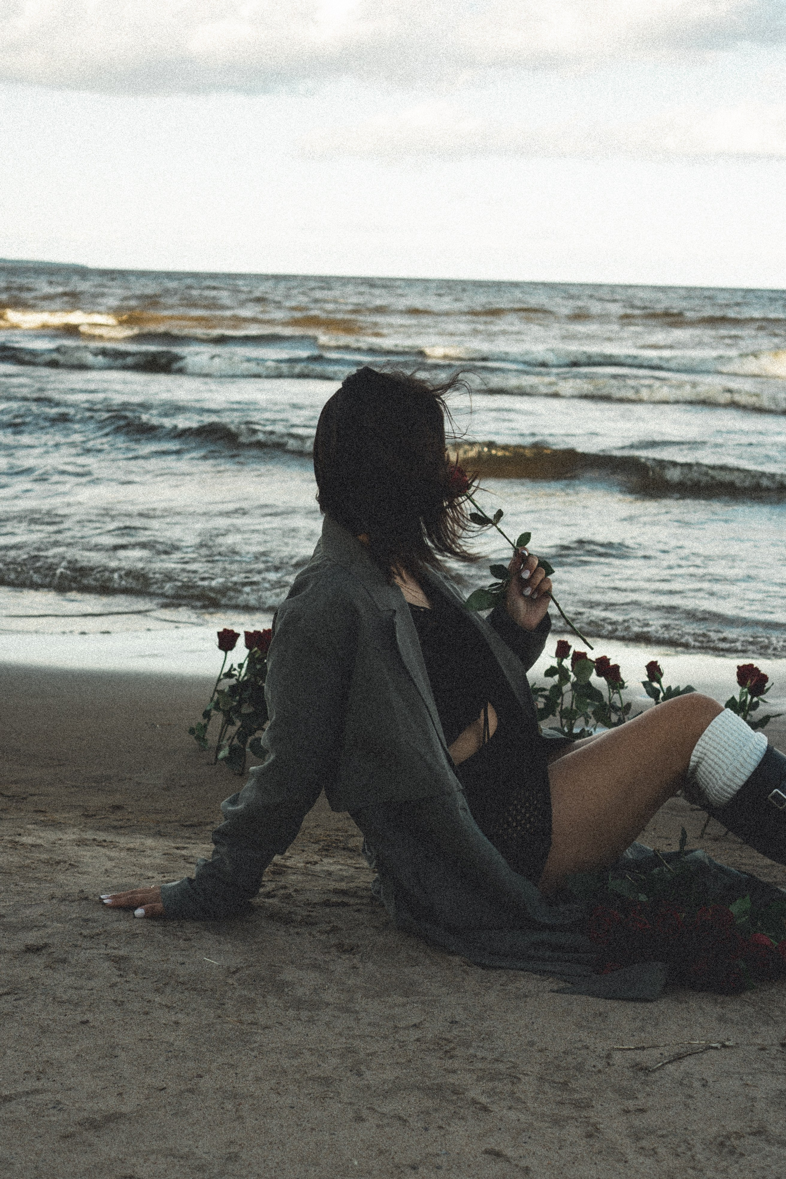 Розы. Профессиональный фотограф, Санкт-Петербург — Виктория Богомолова