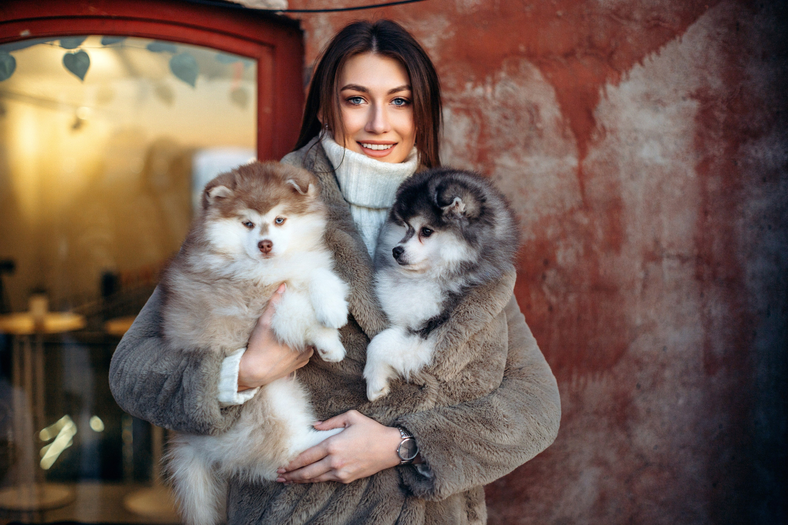 Съёмка со щенками