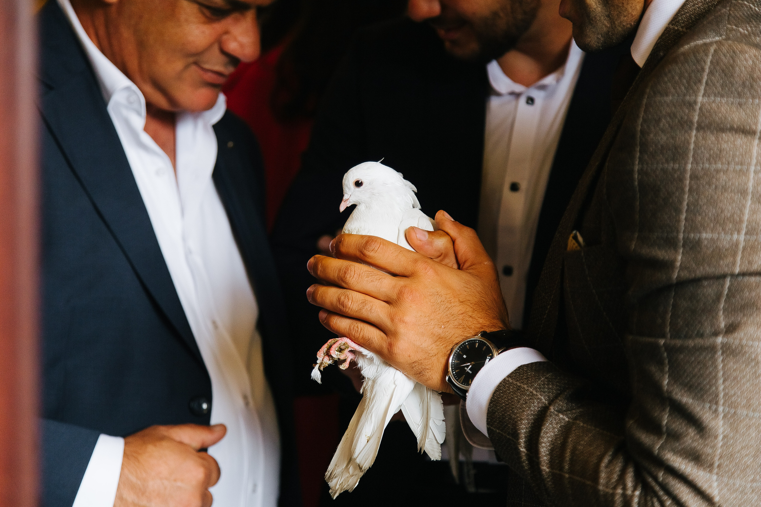 Раф и Мария. Фотограф в Красноярске Надежда Воскресенская