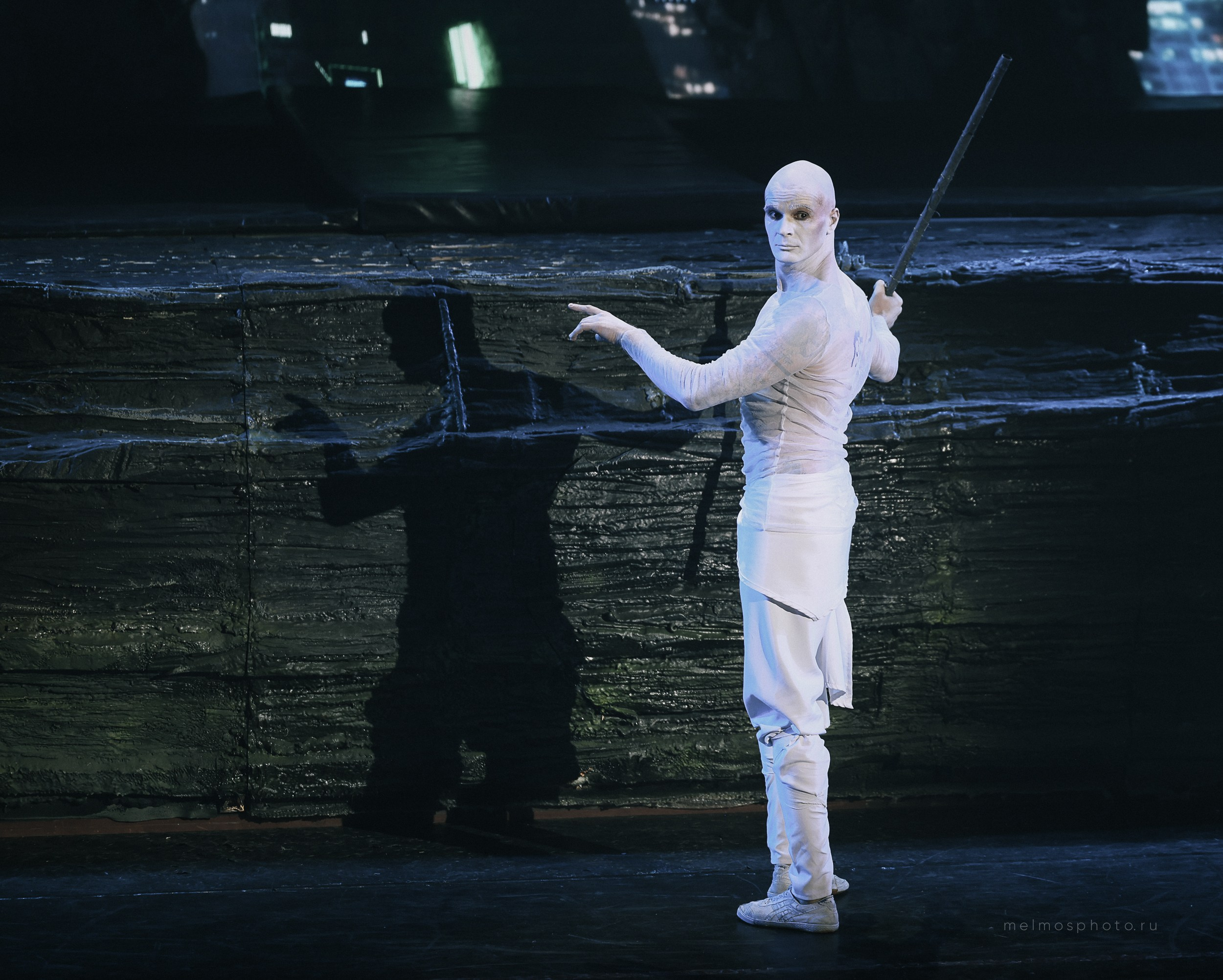 АНТИГРАВИТАЦИЯ. Репортажный, архитектурный, театральный и файн-арт фотограф Лена Мельникова в Москве