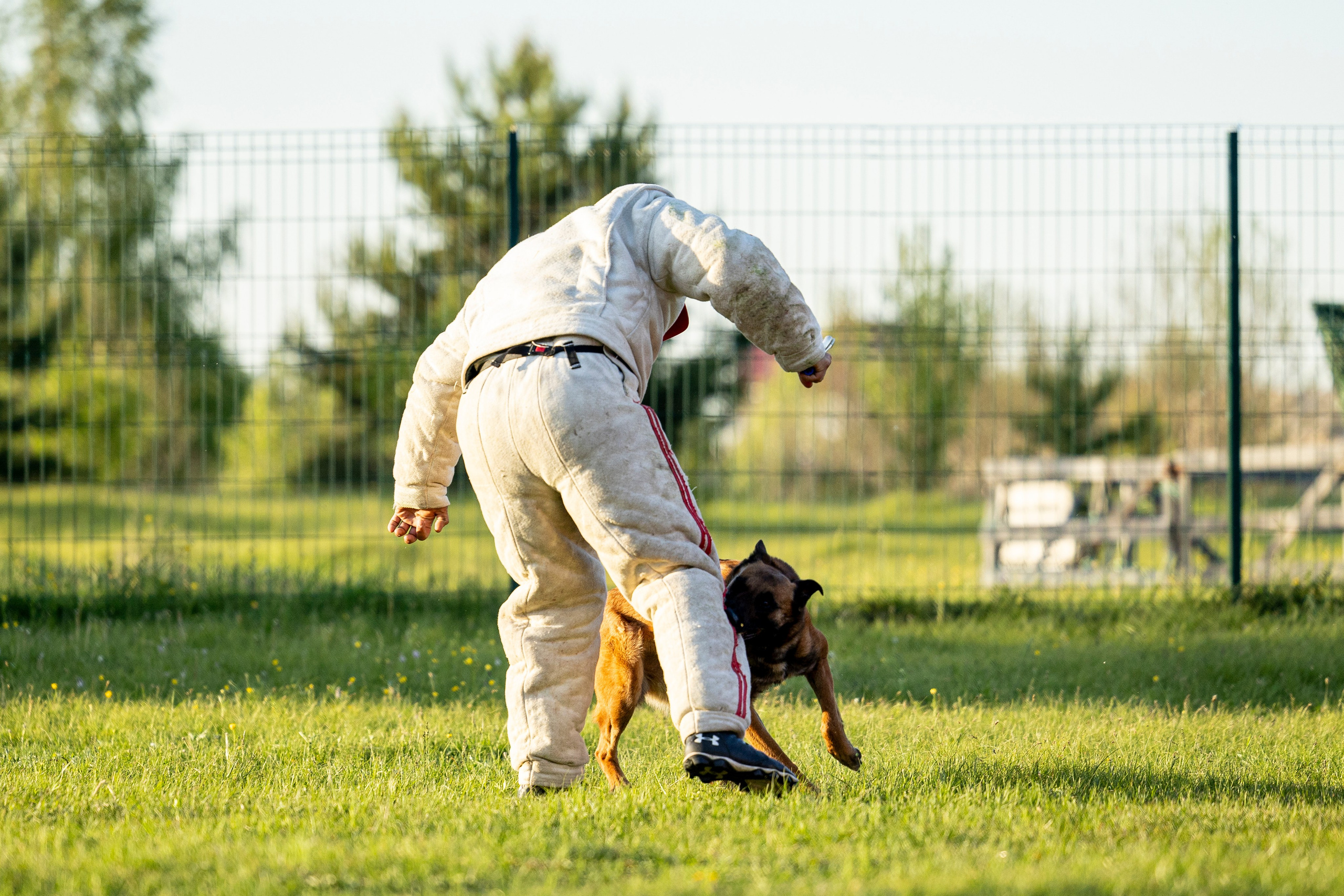 Испытания по мондьорингу в Нижнем Новгороде. Фотограф-анималист Анна Маринич