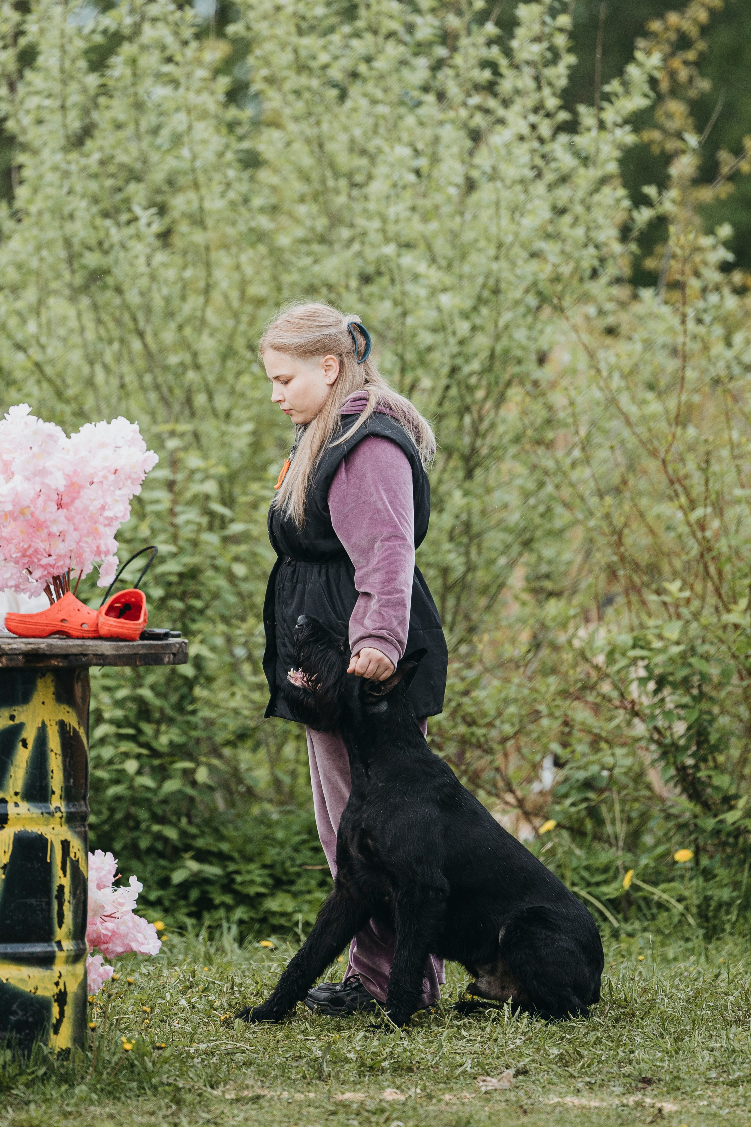 26.05.25 г. Пушкин квалификационные соревнования. Фотограф-анималист Анна Маринич