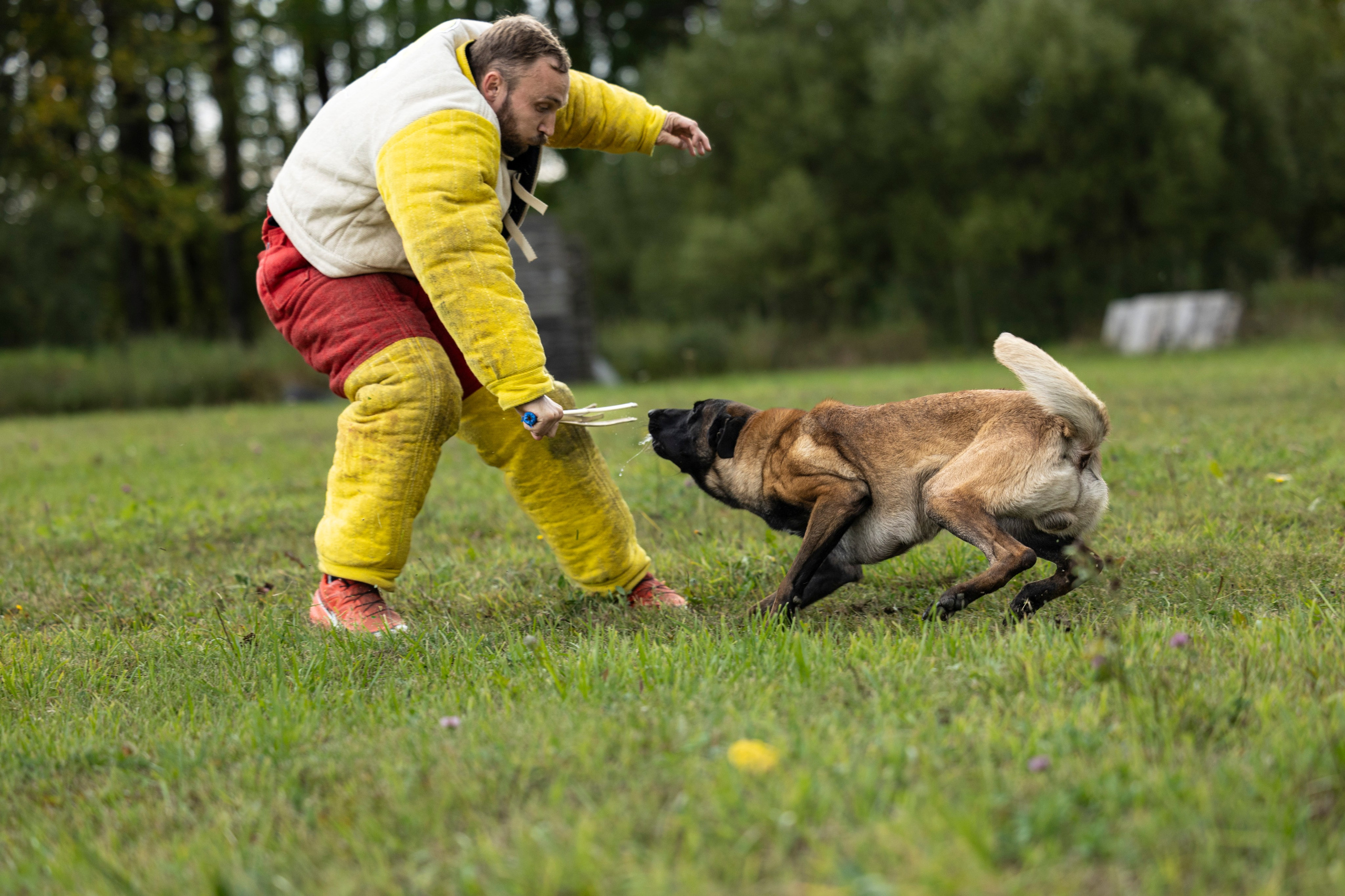 Испытания по Мондьорингу г. Пушкин. Фотограф-анималист Анна Маринич