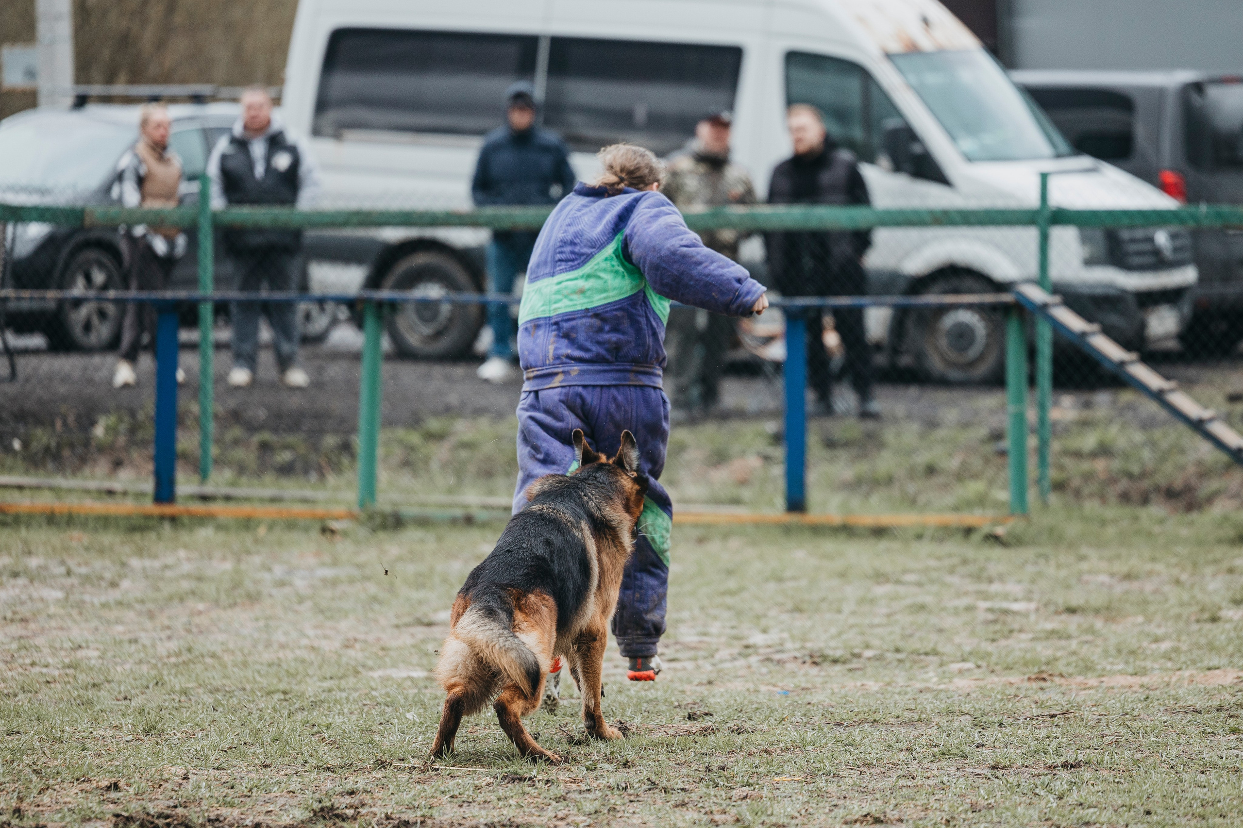 09.05.25 Вологда соревнования. Фотограф-анималист Анна Маринич