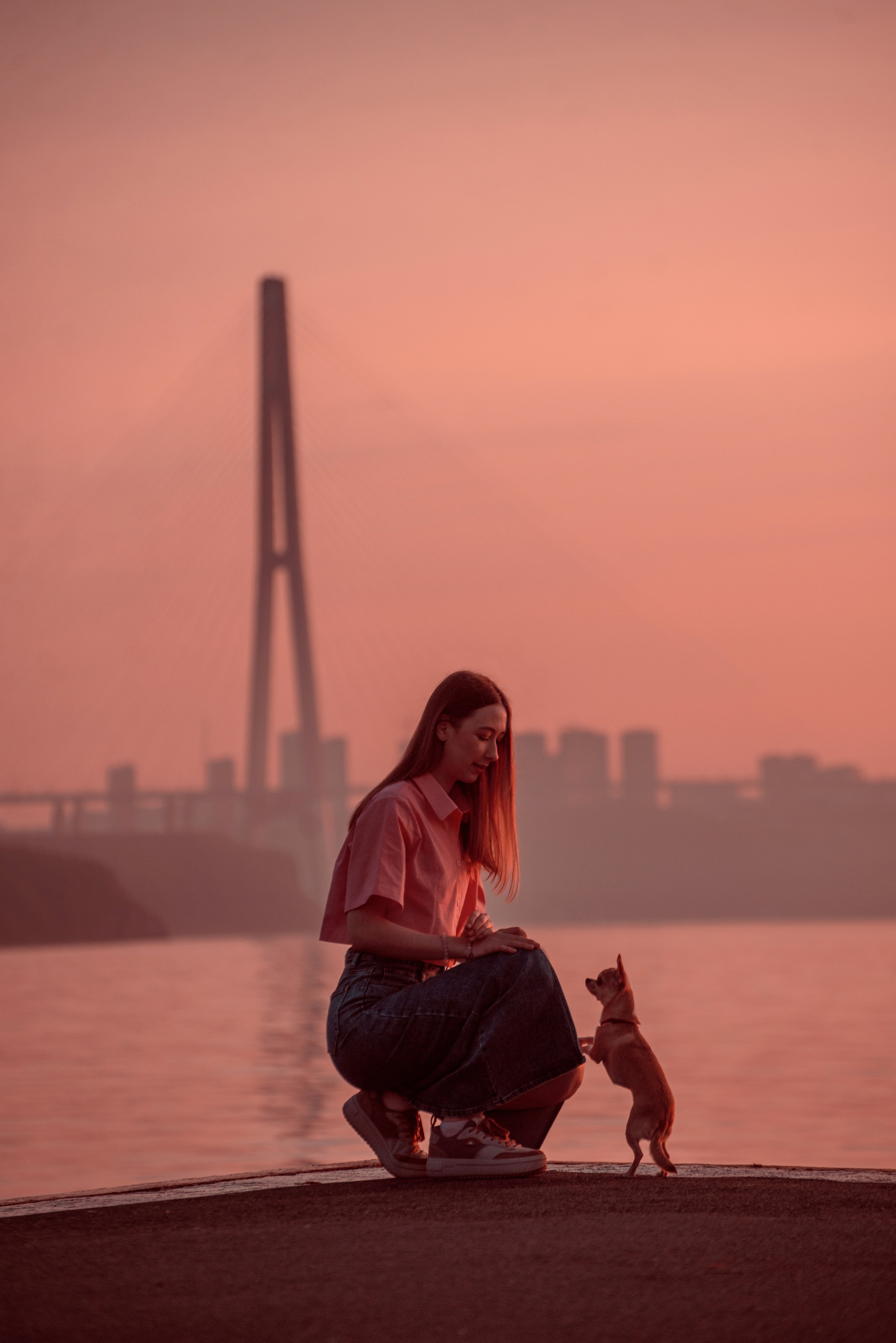 Прогулка: чихуахуа Хенни и Алина во Владивостоке. Портфолио