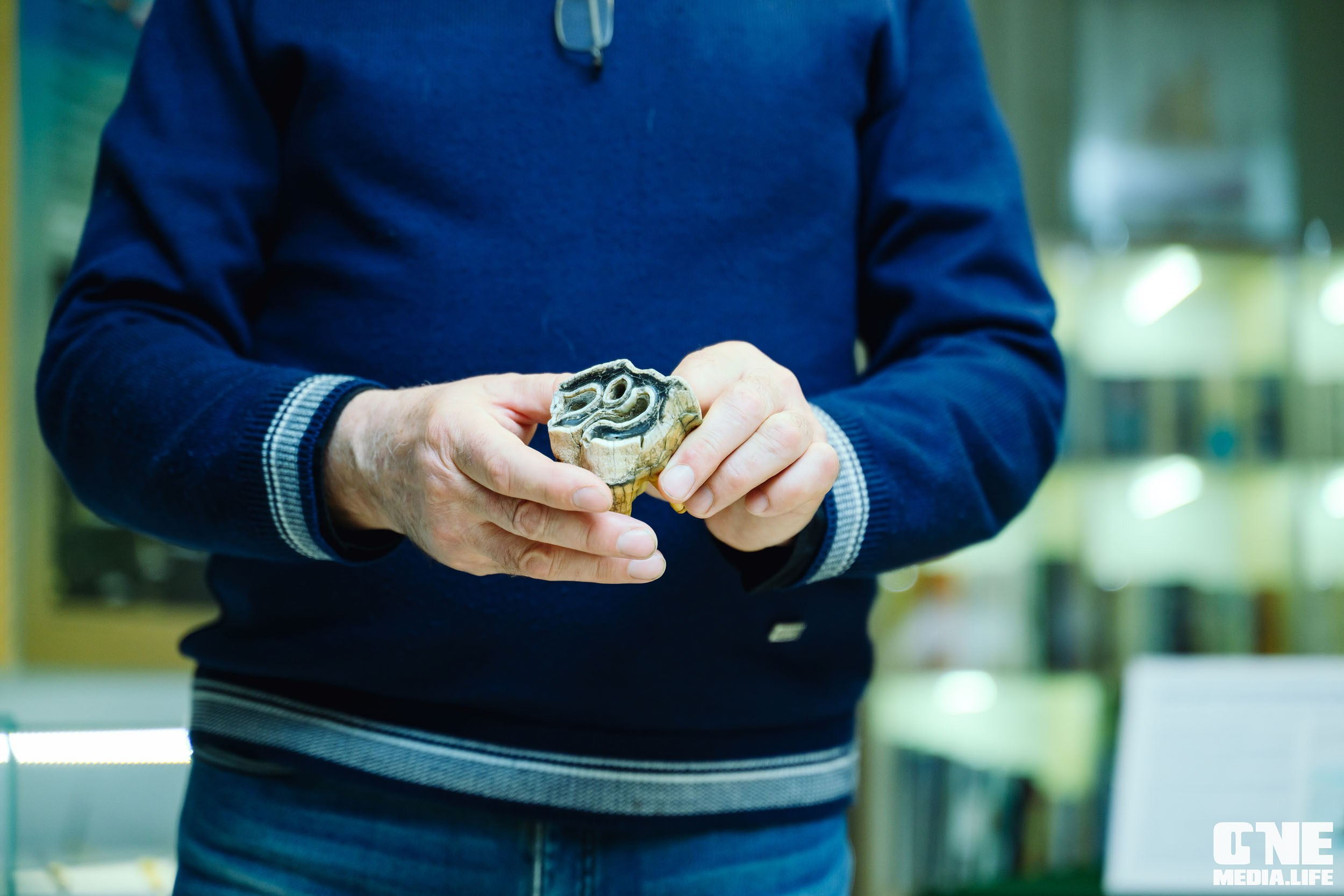 Балтийский Культурный Форум 2024. One Media Life: фоторепортажи, фотоотчеты с мероприятий и заведений