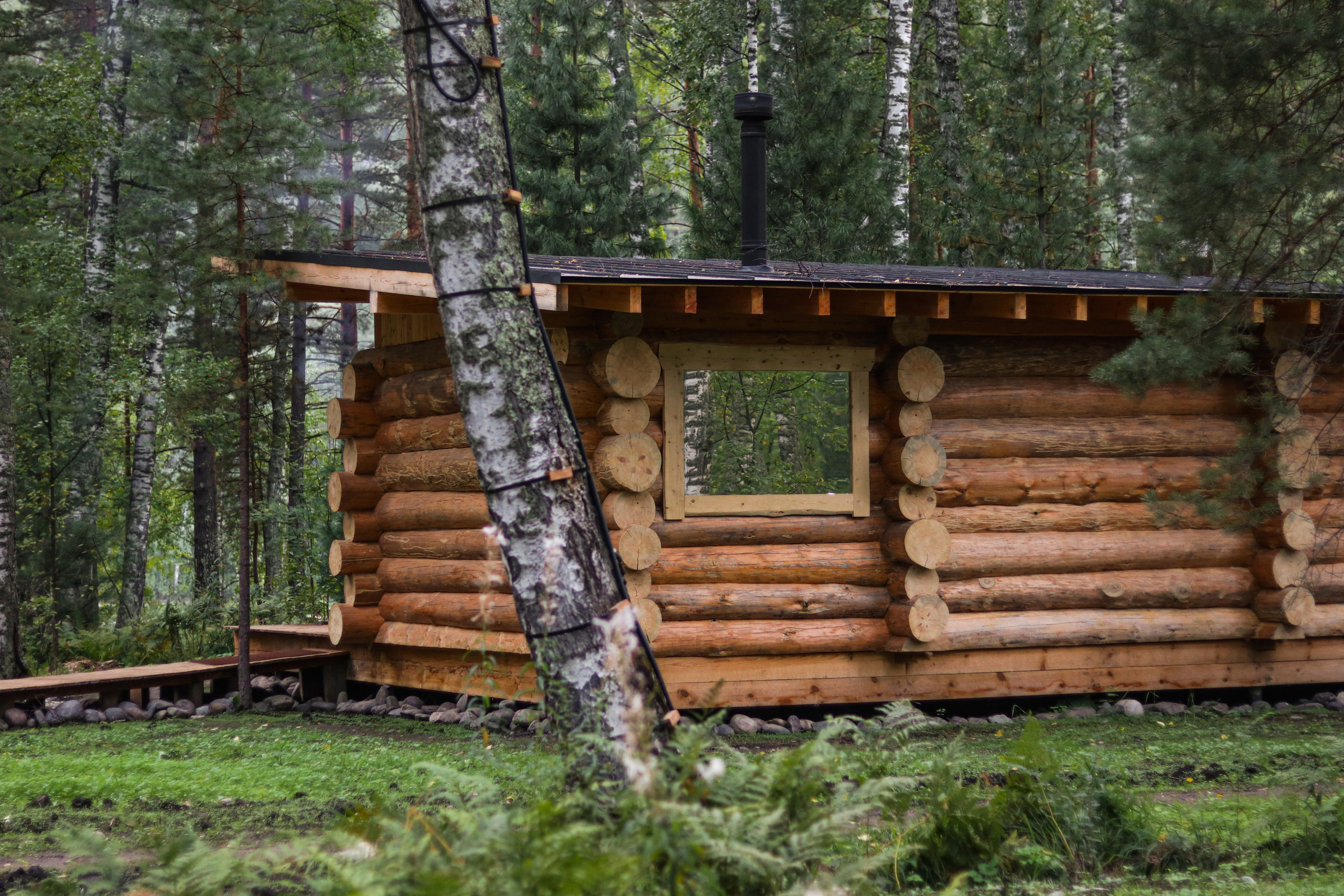 «Pinewood» банный комплекс, респ. Алтай. Контент фотограф Дмитрий Борисов