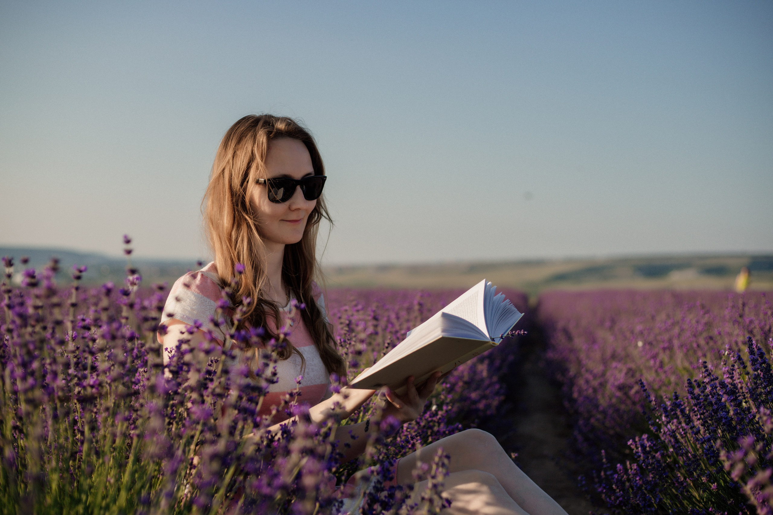 Лаванда. Фотограф и Видеограф Севастополь Крым