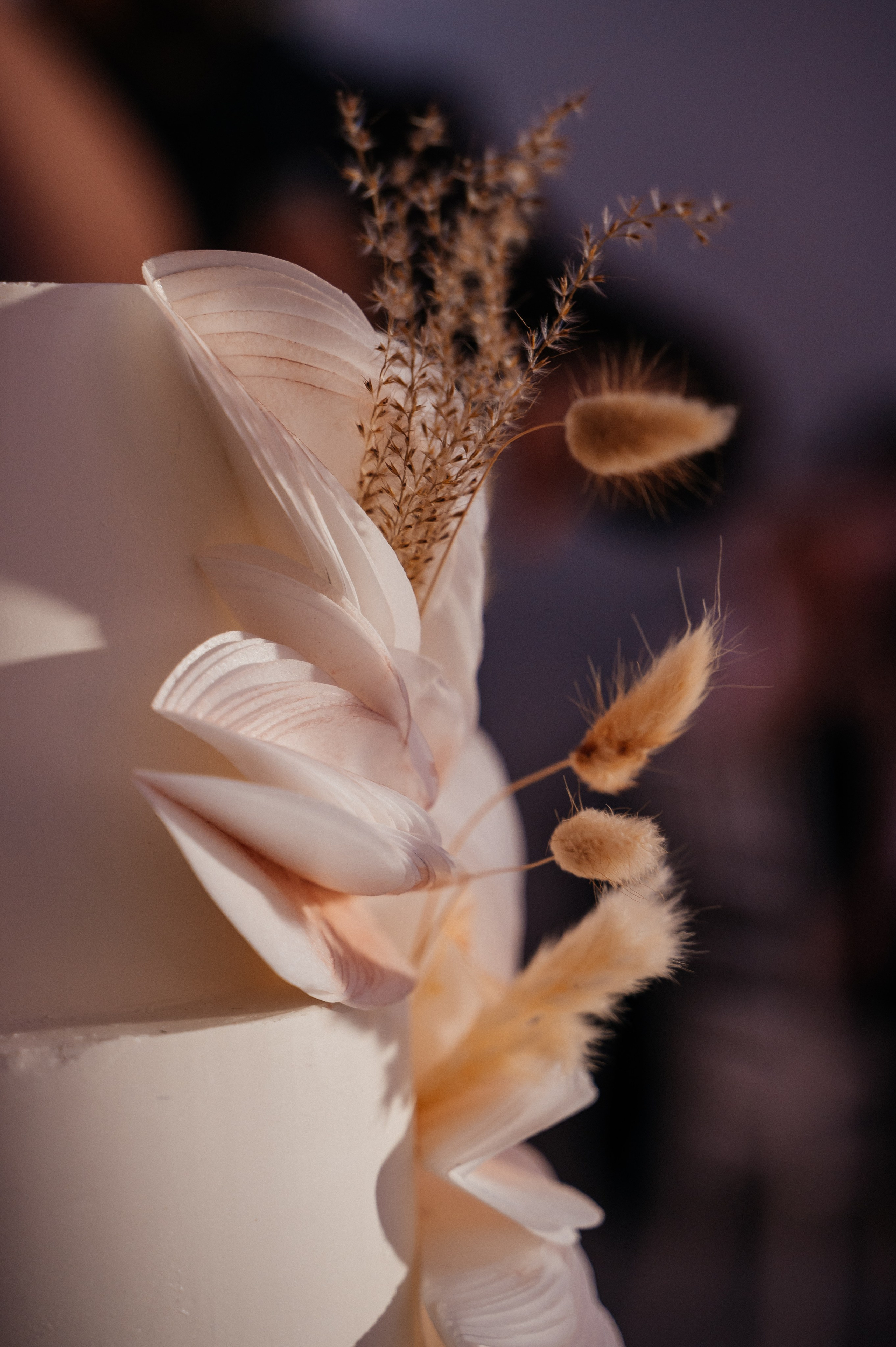 Дима и Аня 27.07.2024. Свадебный и семейный фотограф в городе Смоленске