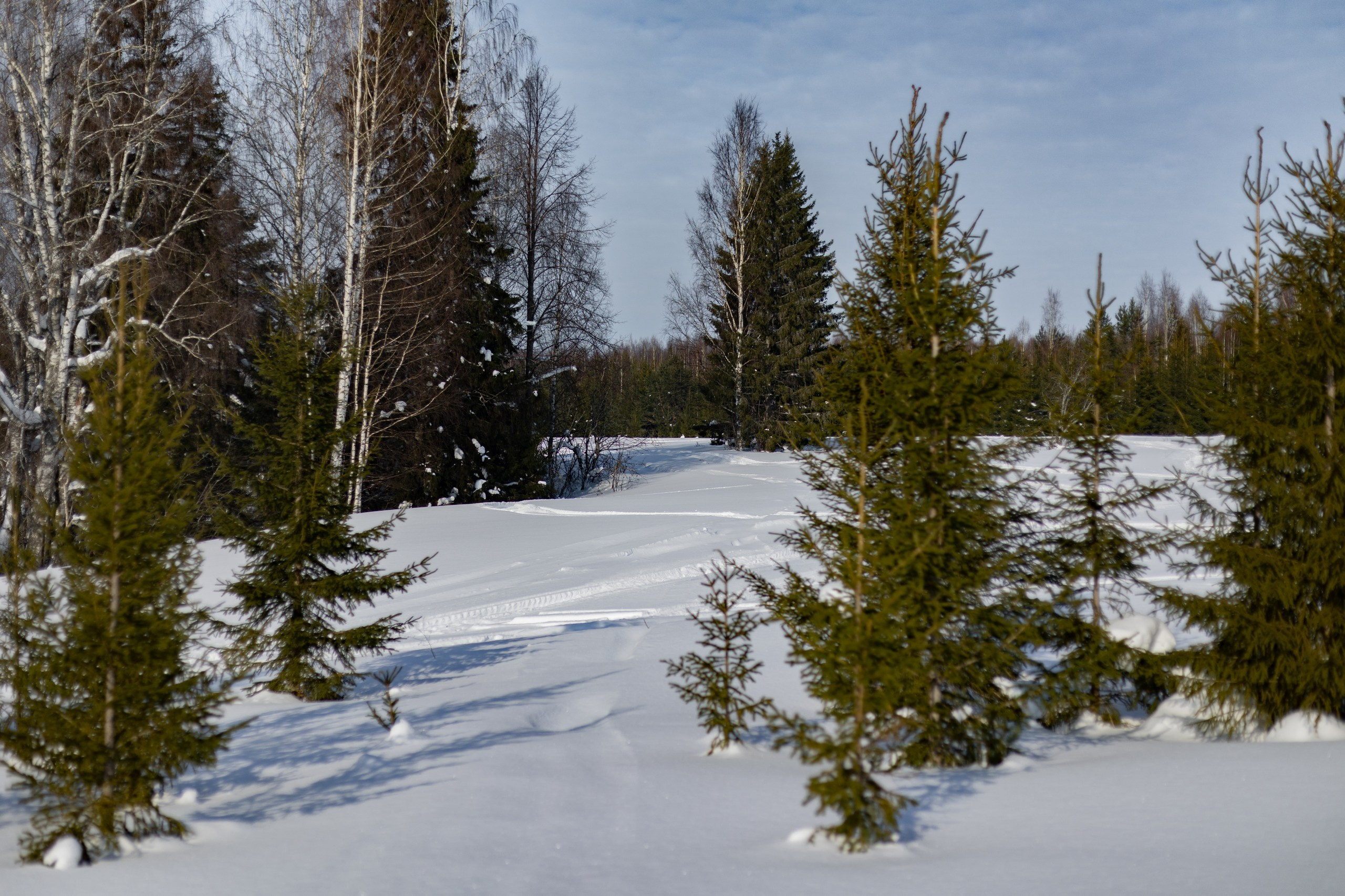 Егор. Семейный и детский фотограф в Перми Юдинцева Юлия