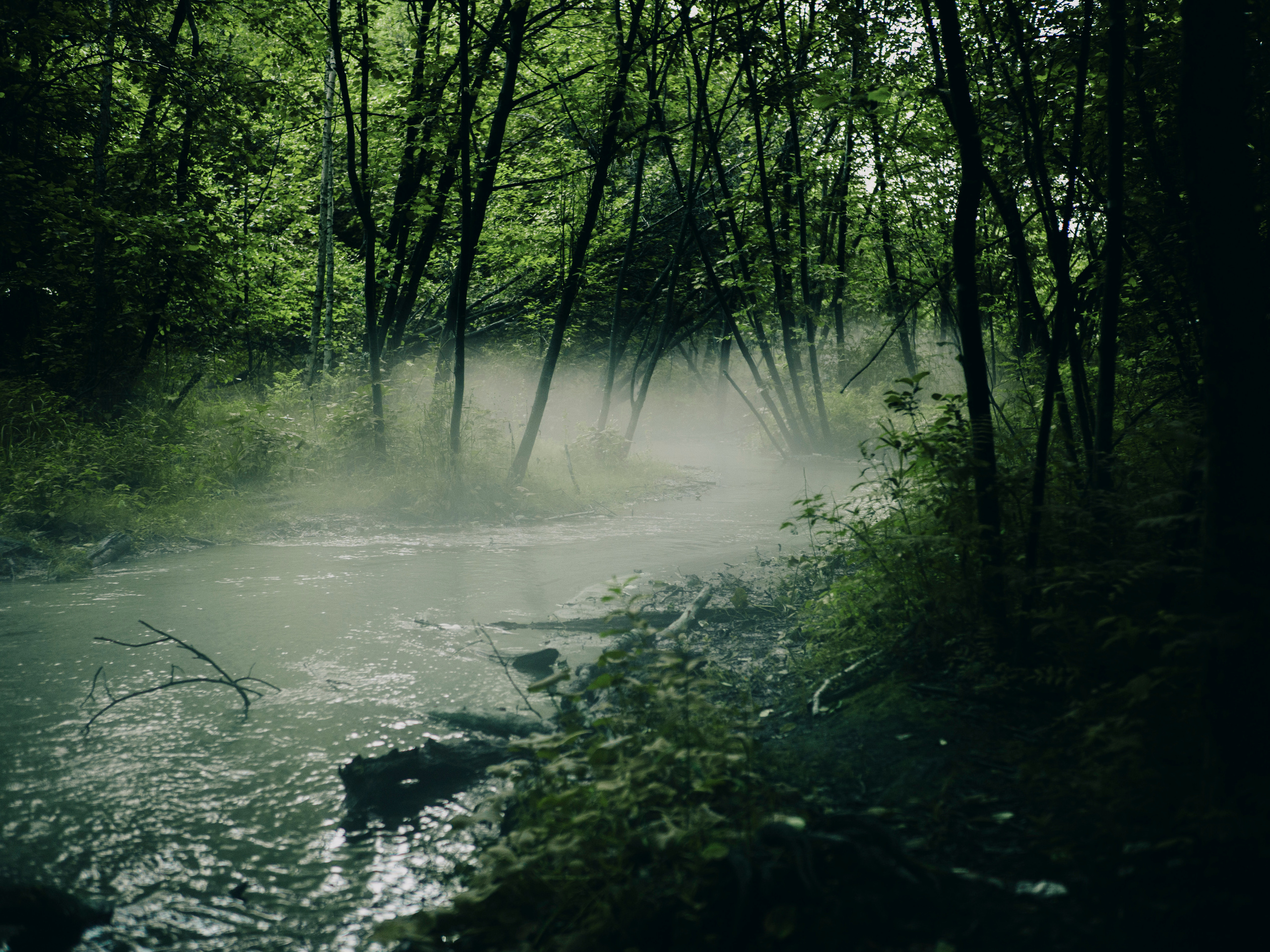 Лика. Фотограф и видеограф в Благовещенске и Санкт-Петербурге Мурыгина Мария