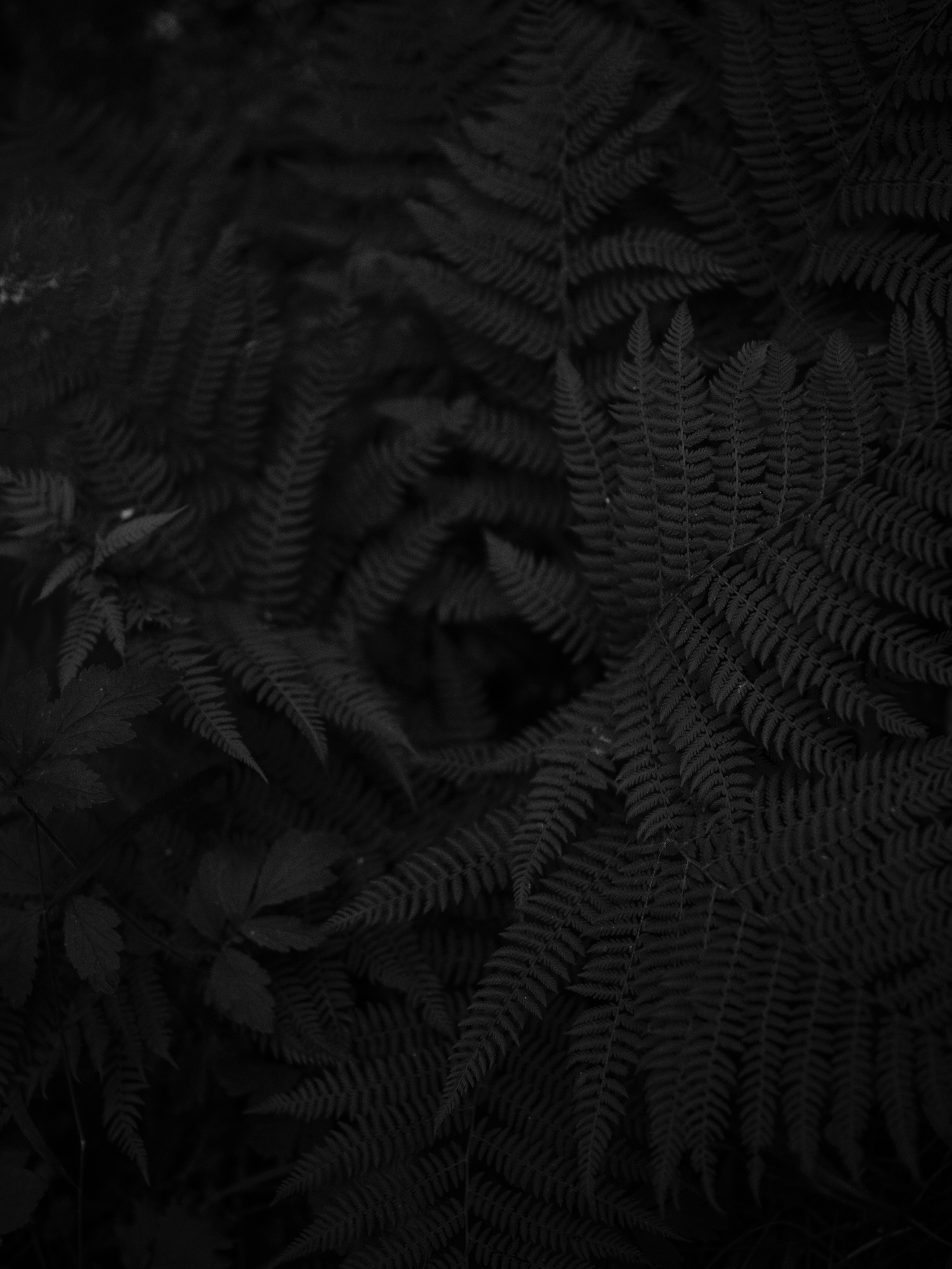 Лика. Фотограф и видеограф в Благовещенске и Санкт-Петербурге Мурыгина Мария