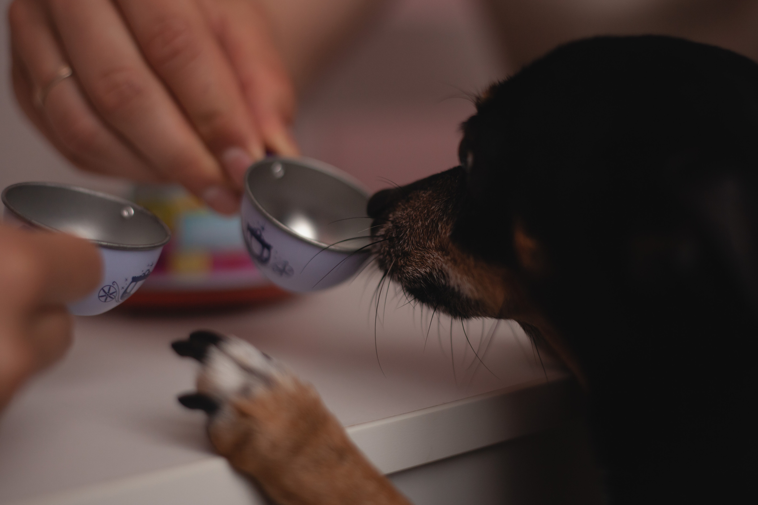 Домашняя история Арины, Андрея, Миры и Андрюши. Семейный фотограф в Екатеринбурге Мария Мальцева