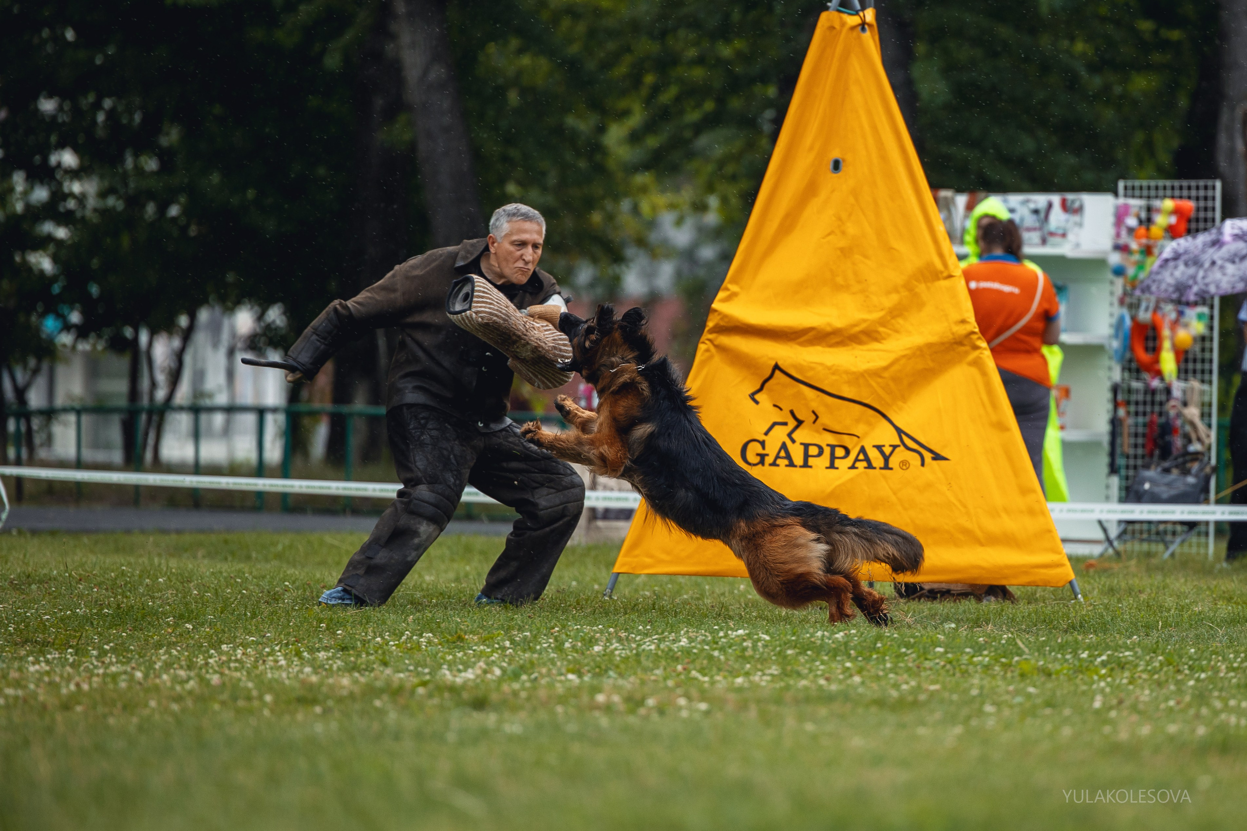 6.07.2024 Выставка немецких овчарок г. Тюмень. YULA KOLESOVA | Фотограф — Анималист | Художник | Тюмень