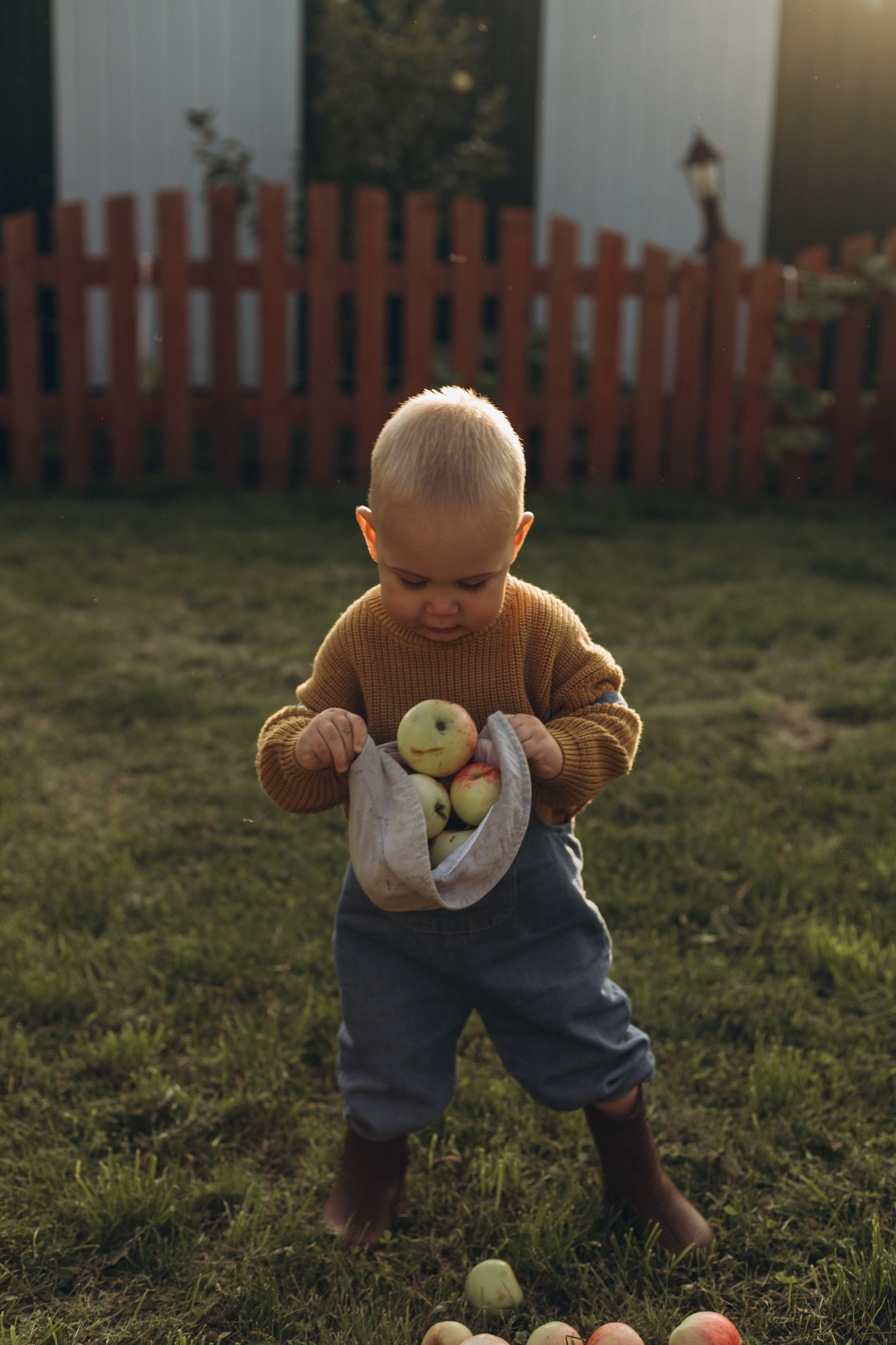 Морковная история 🥕🧡. Услуги