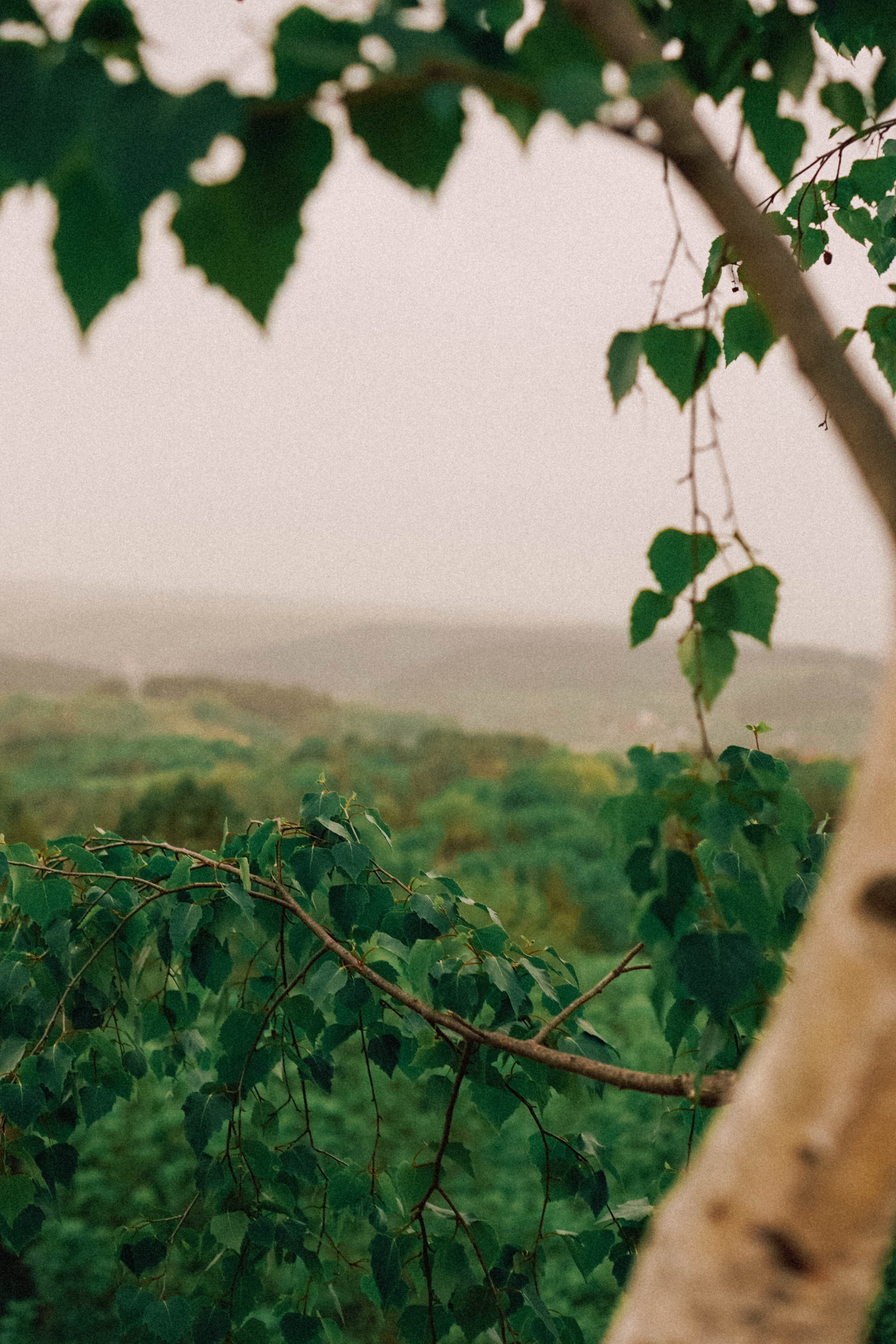 КИСЛОВОДСК. Профессиональный фотограф, Санкт-Петербург — Виктория Богомолова