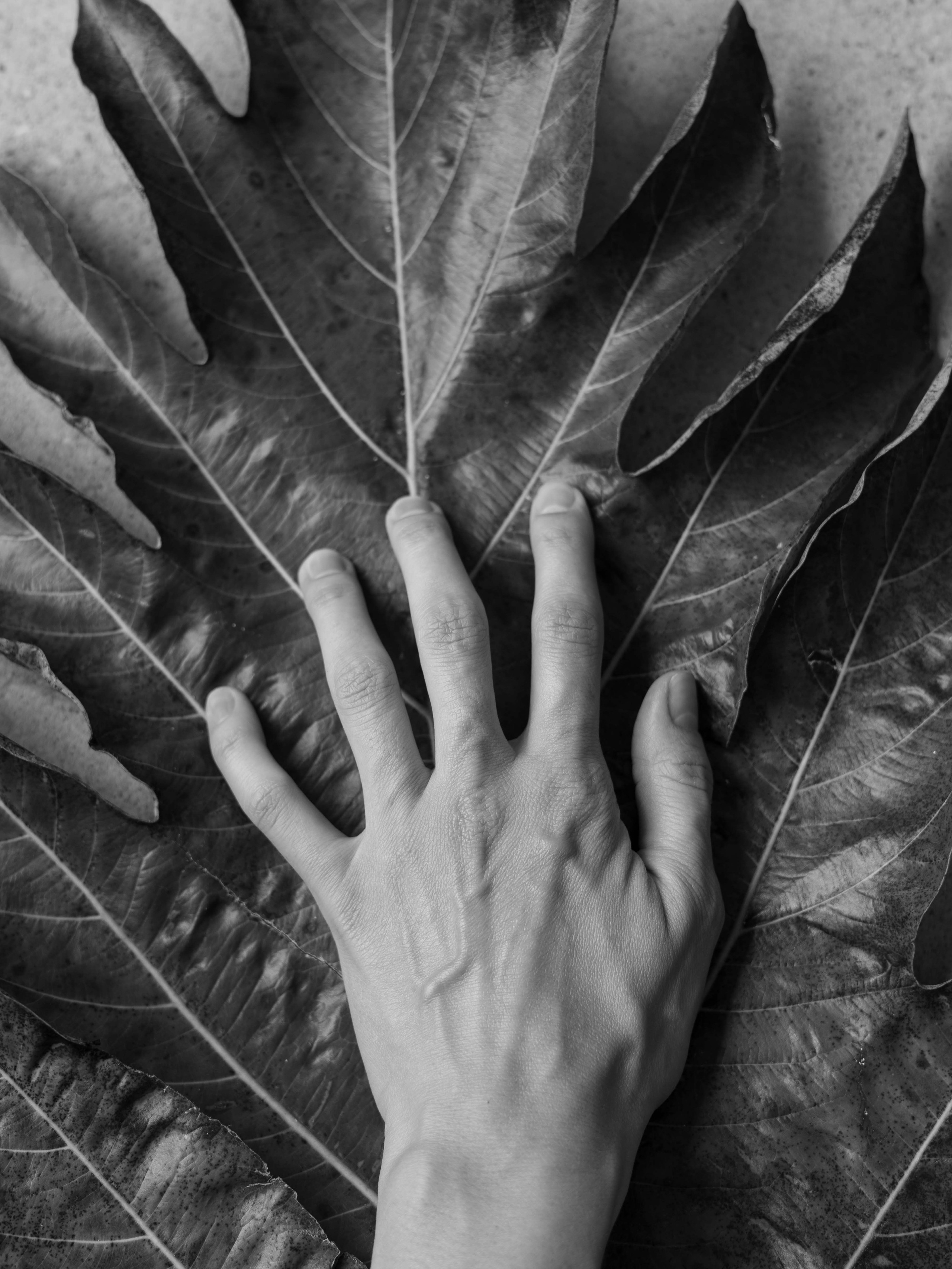 Project. Ula Aldokhina