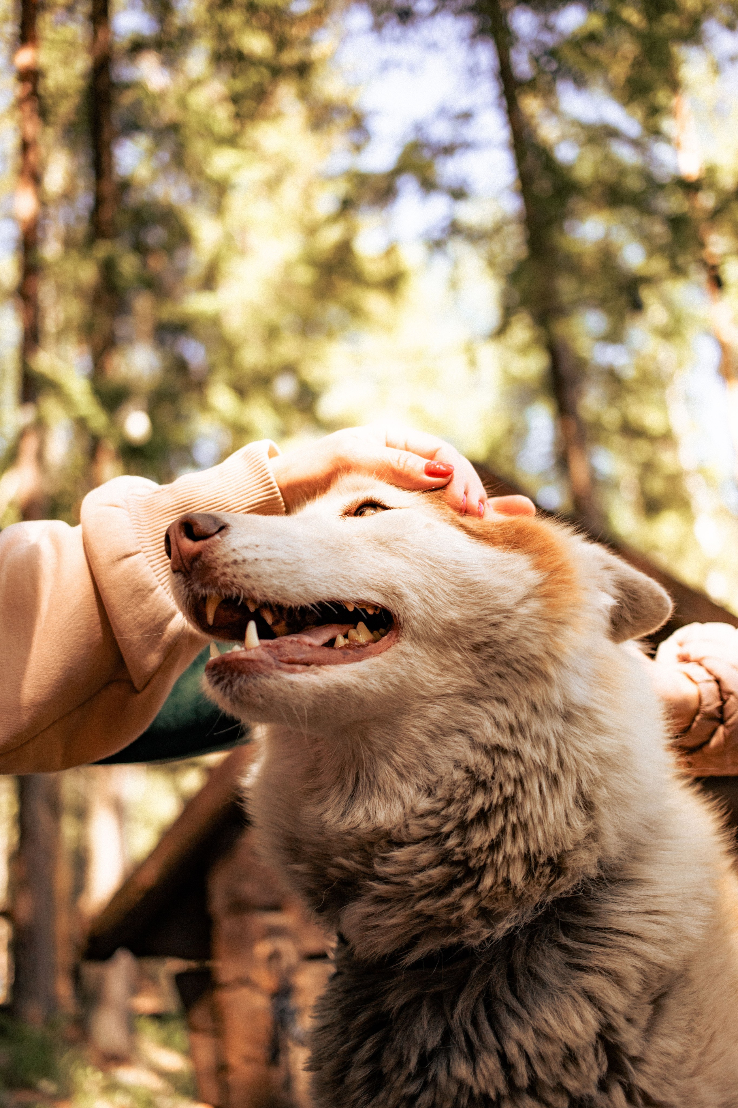 Карелия. Фотограф в Минске Анастасия Ткаченко