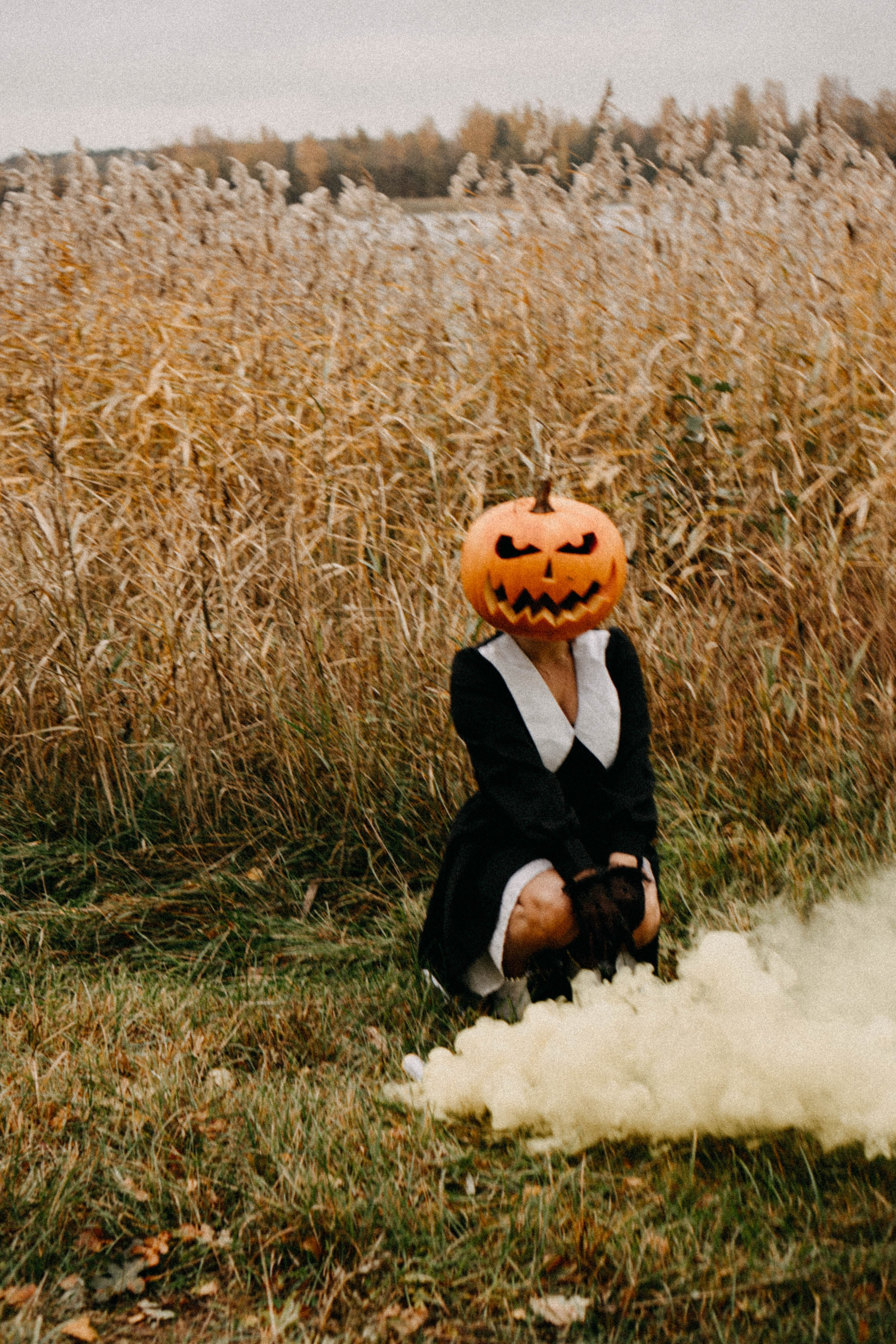 Осеняя. Профессиональный фотограф, Санкт-Петербург — Виктория Богомолова