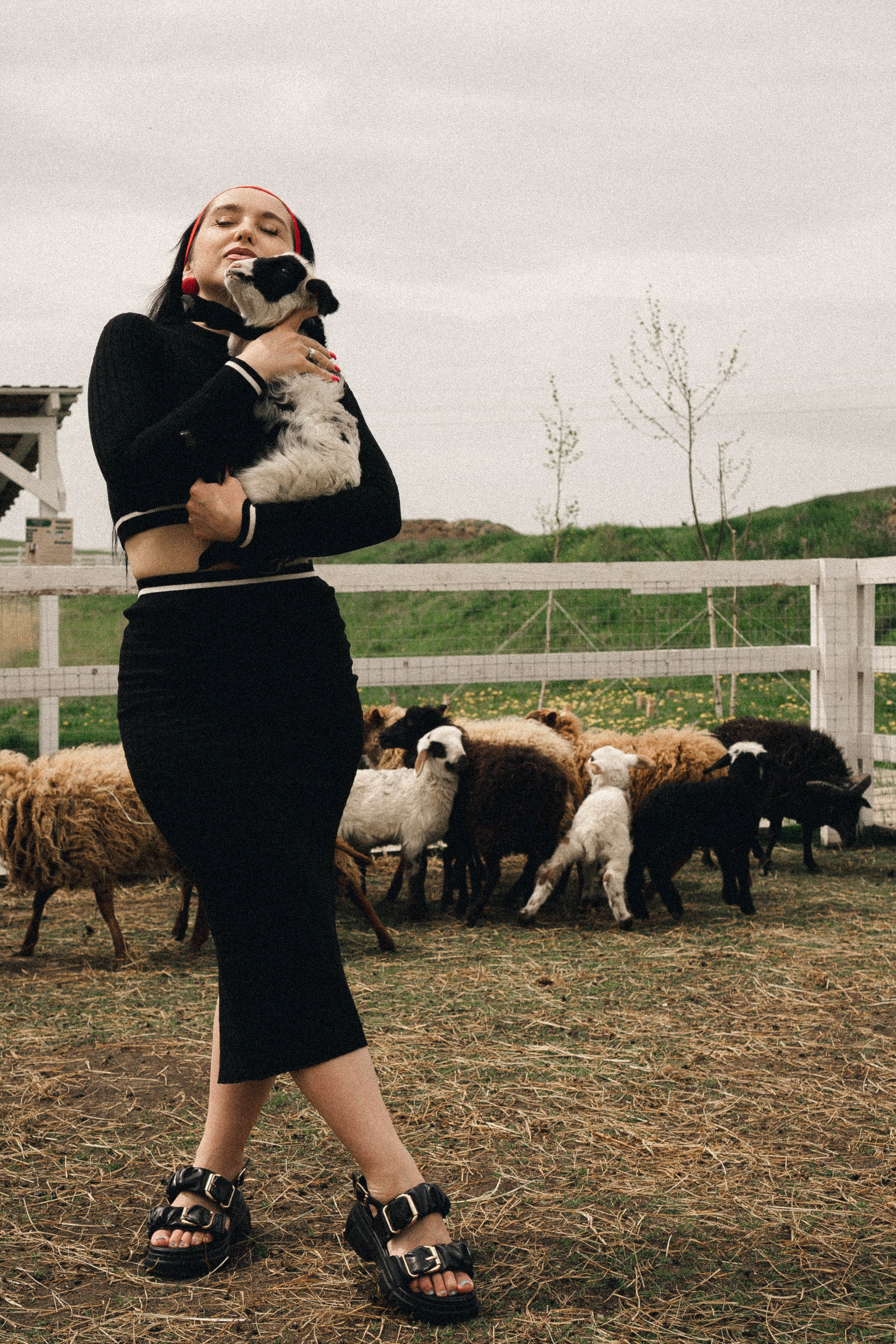 Ферма Альпак. Профессиональный фотограф, Санкт-Петербург — Виктория Богомолова