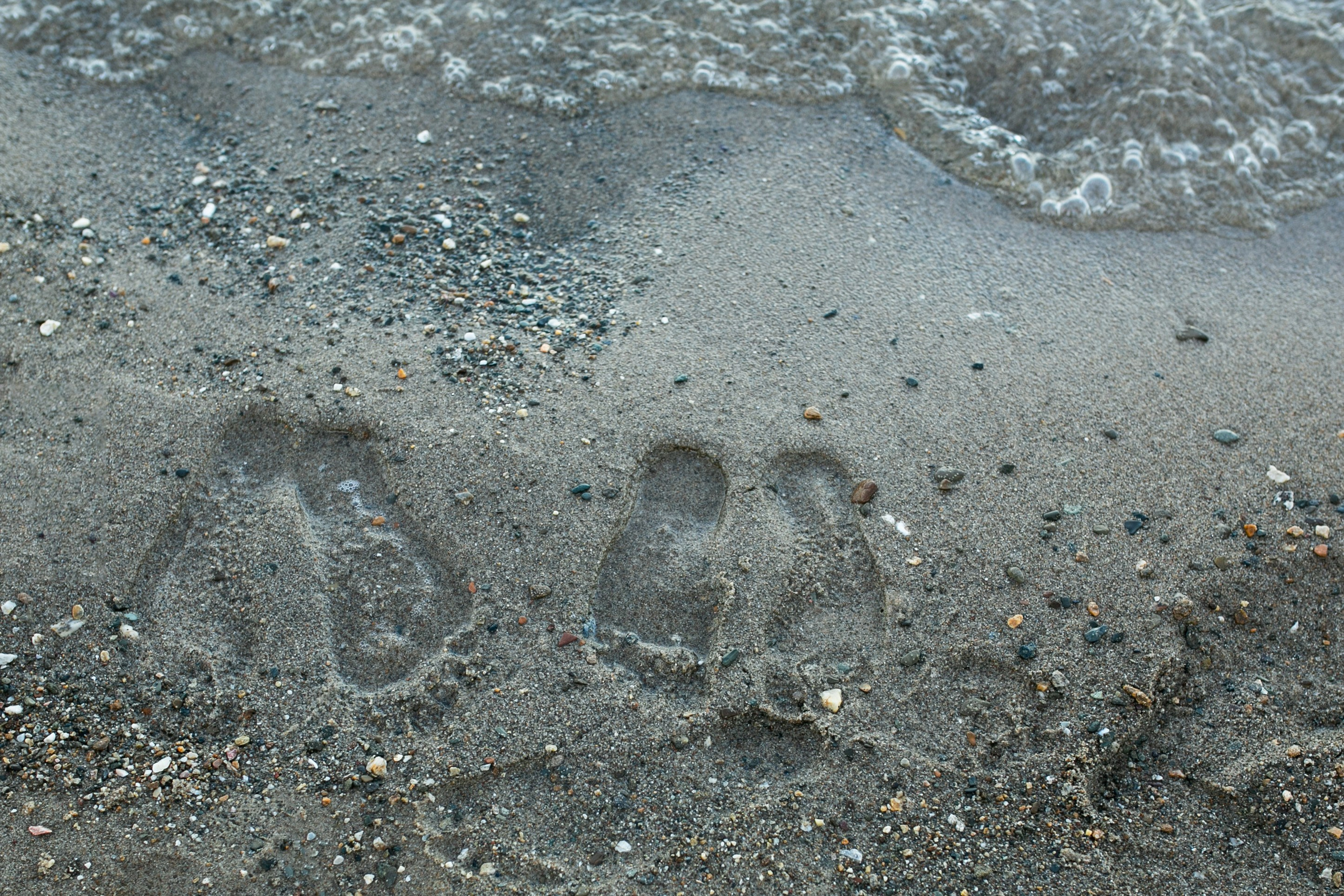 Дарья-Николай. Фотограф в Новосибирске Ася Зверева