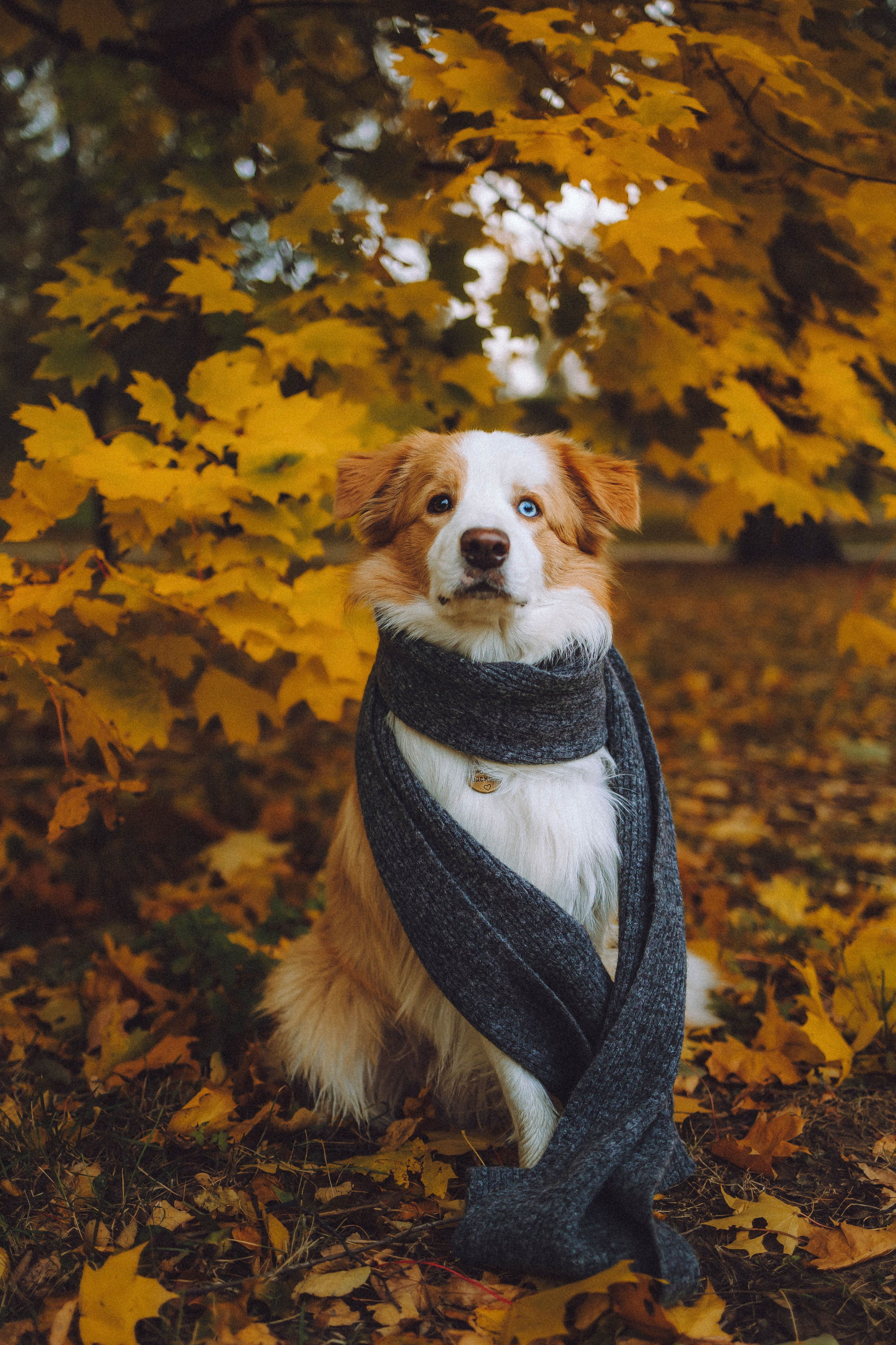 Алина, Витя и Асти