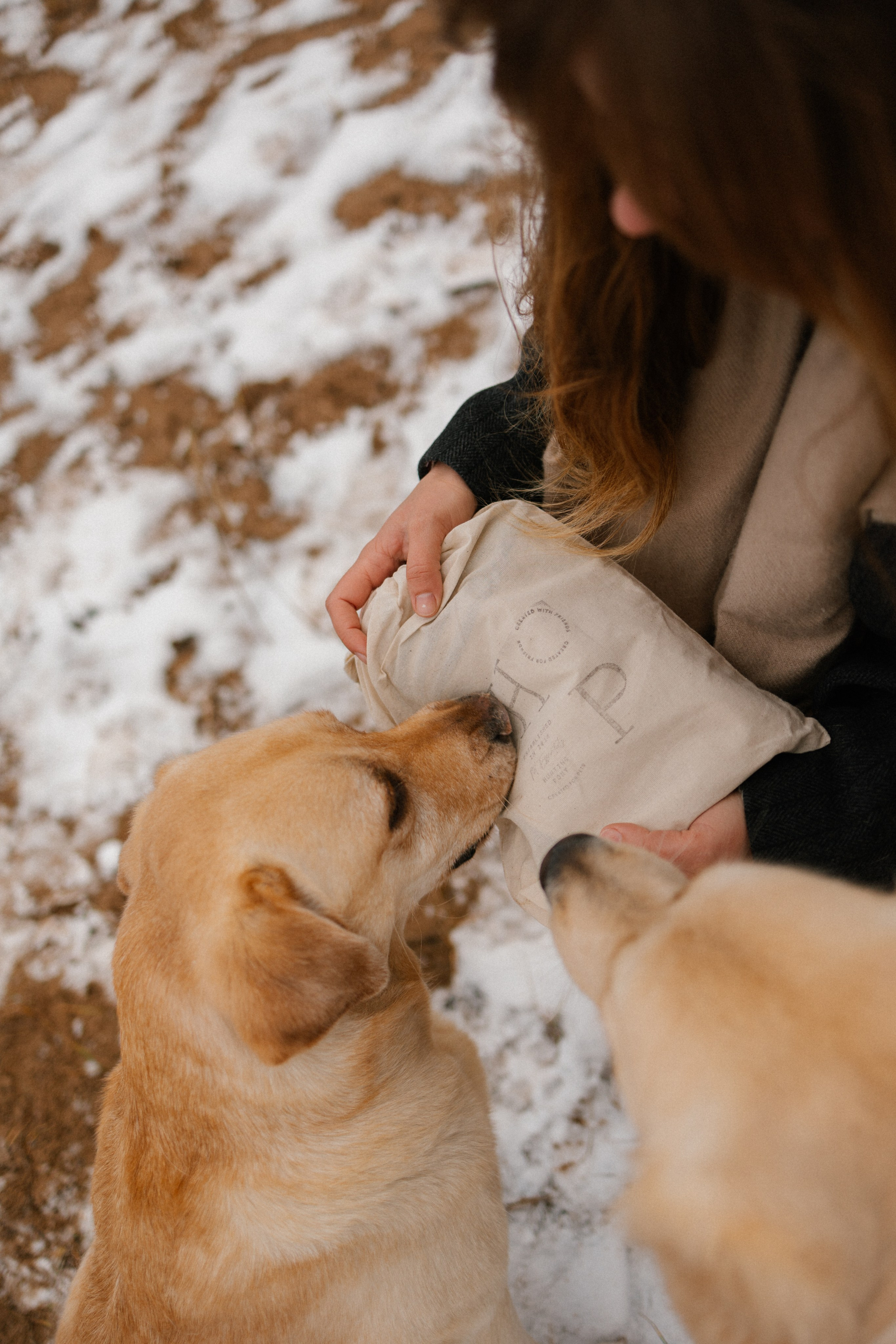 Ирина и Бася. Фотограф — Анималист | Санкт-Петербург