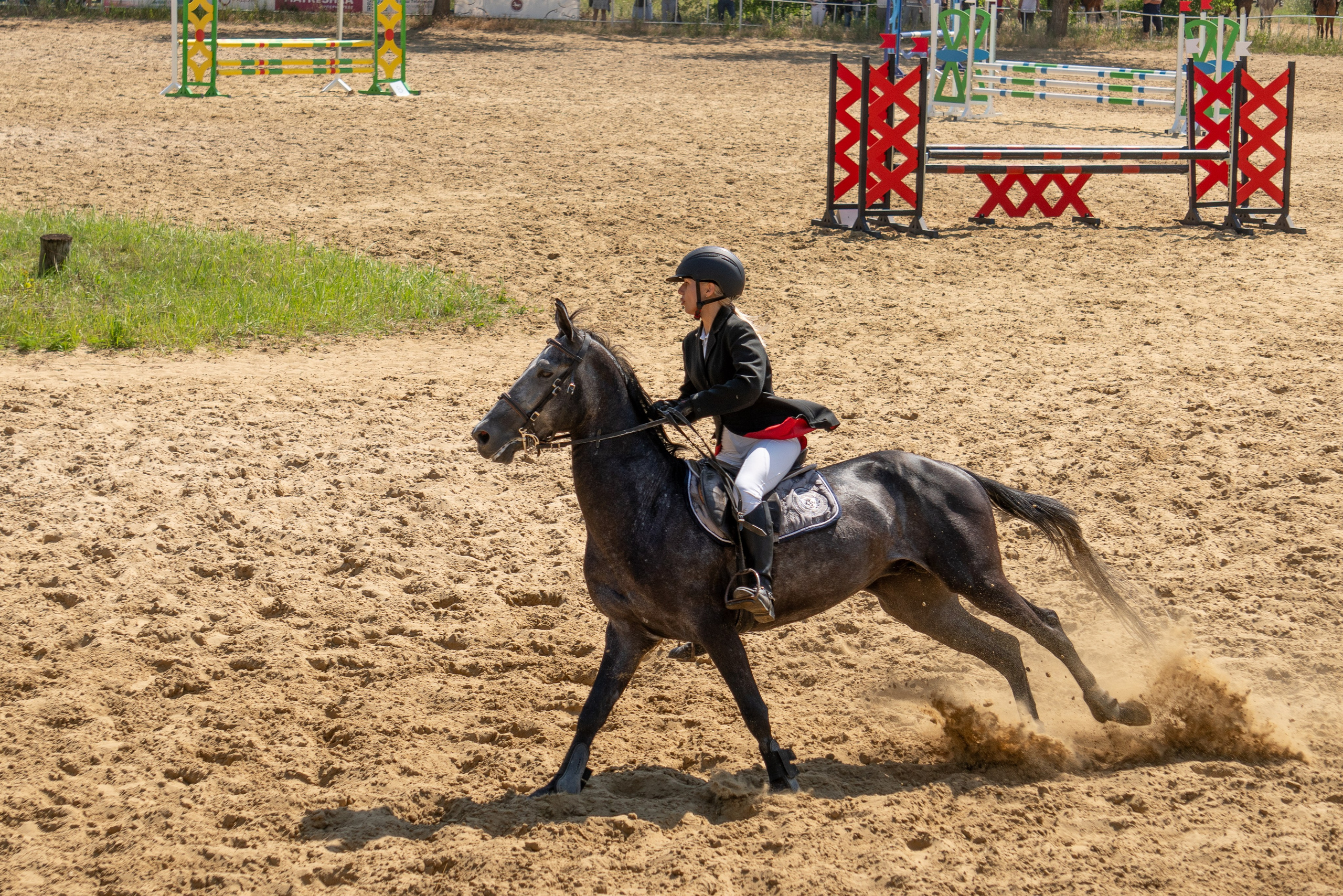 Соревнования по конкуру, Луганск. Фотограф в РФ и ЛНР Юлия Федосеева