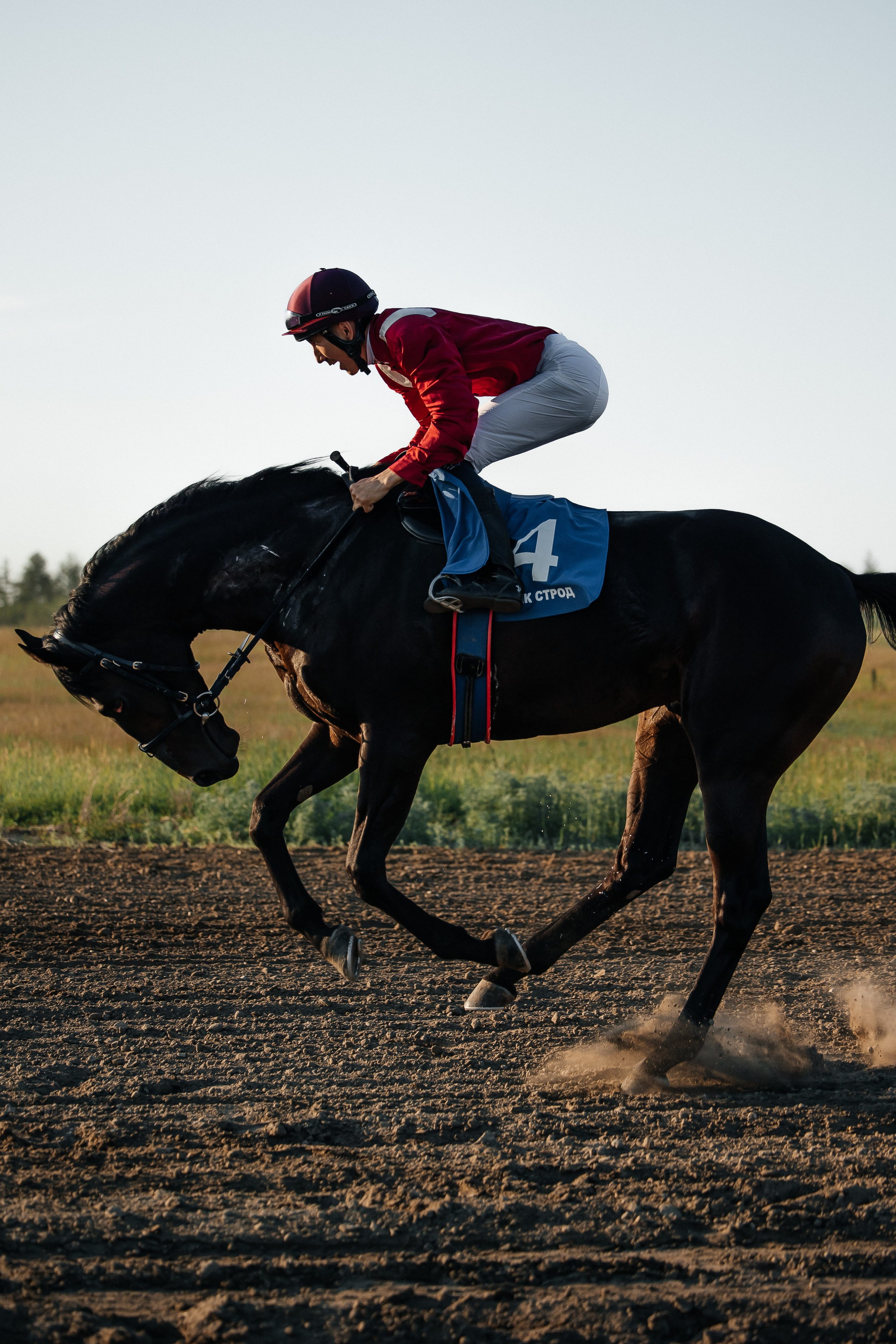 ПЕЙЗАЖ И ЛЮДИ. Саргылана Афанасьева