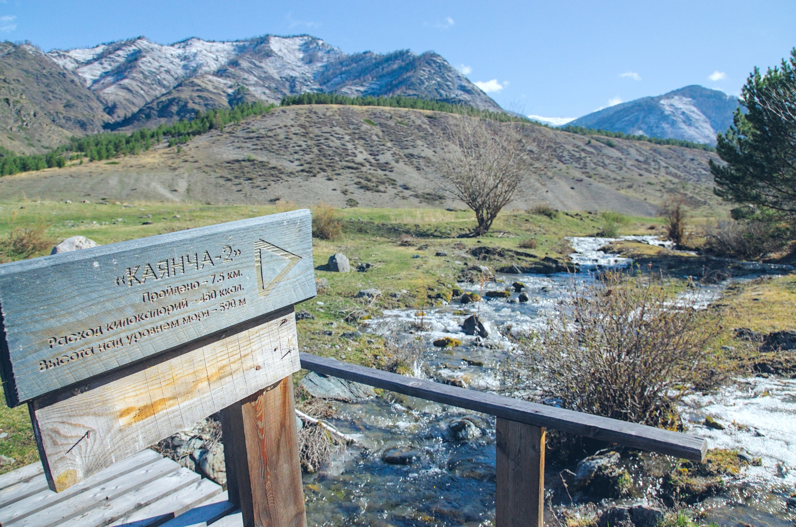 Алтай. Фотограф анималист, пейзажист, спортивные мероприятия. Новосибирск