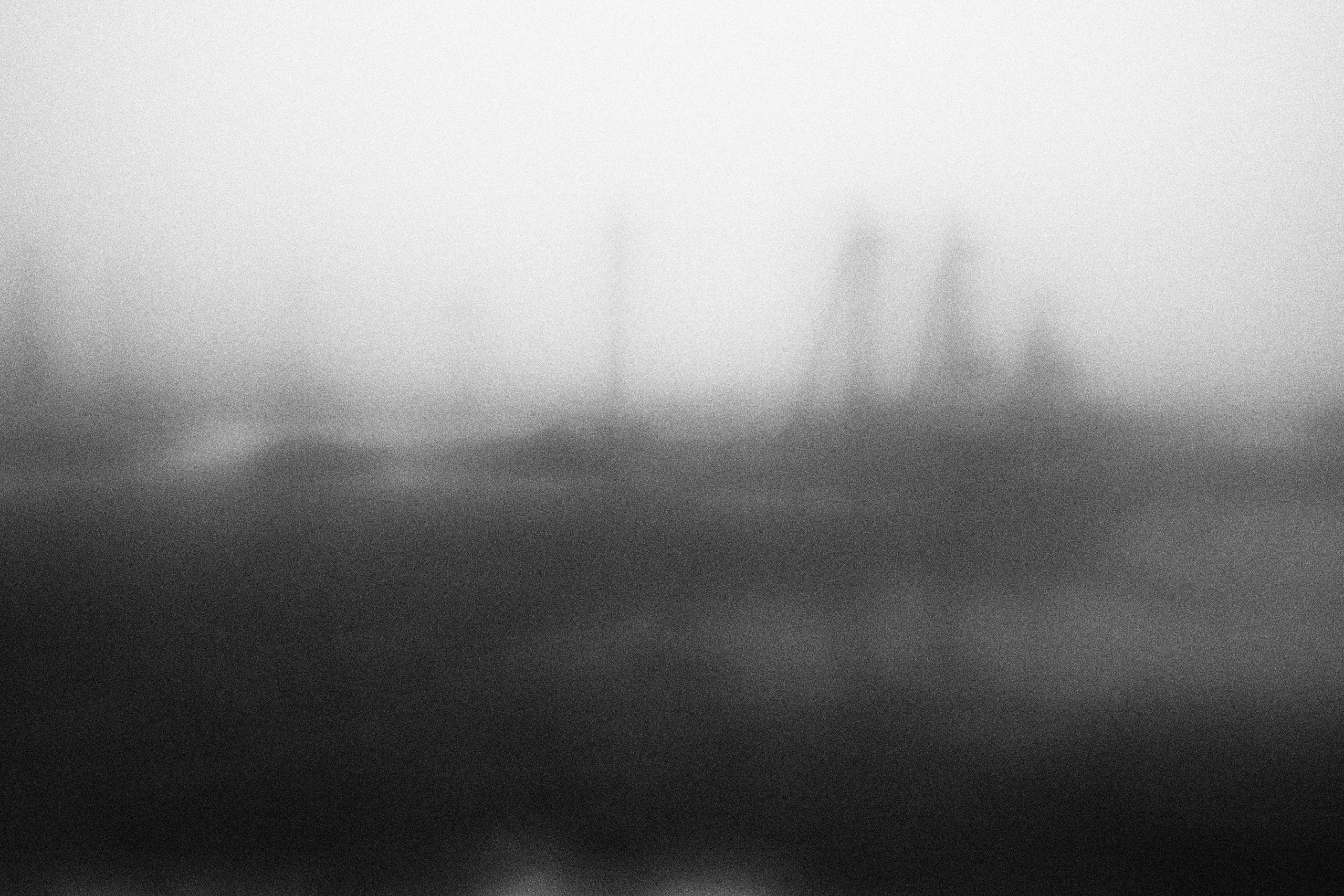 «Видеть. Чувствовать. Сохранять»